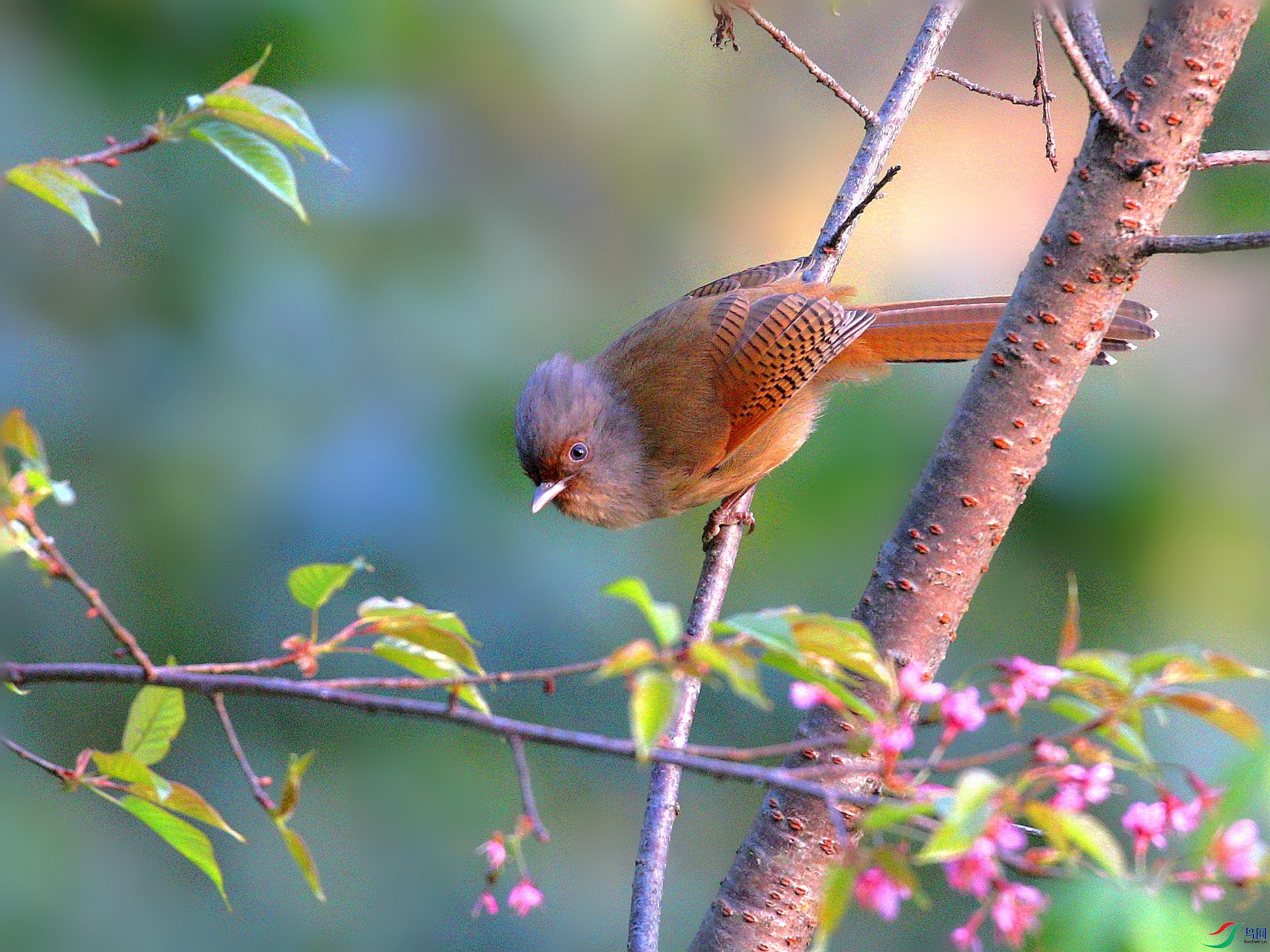 AE8I9045_����.jpg