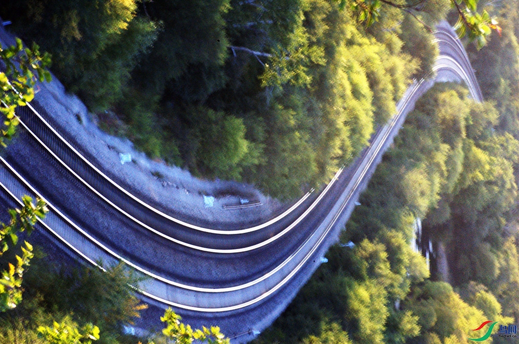 DSC_9195.jpg
