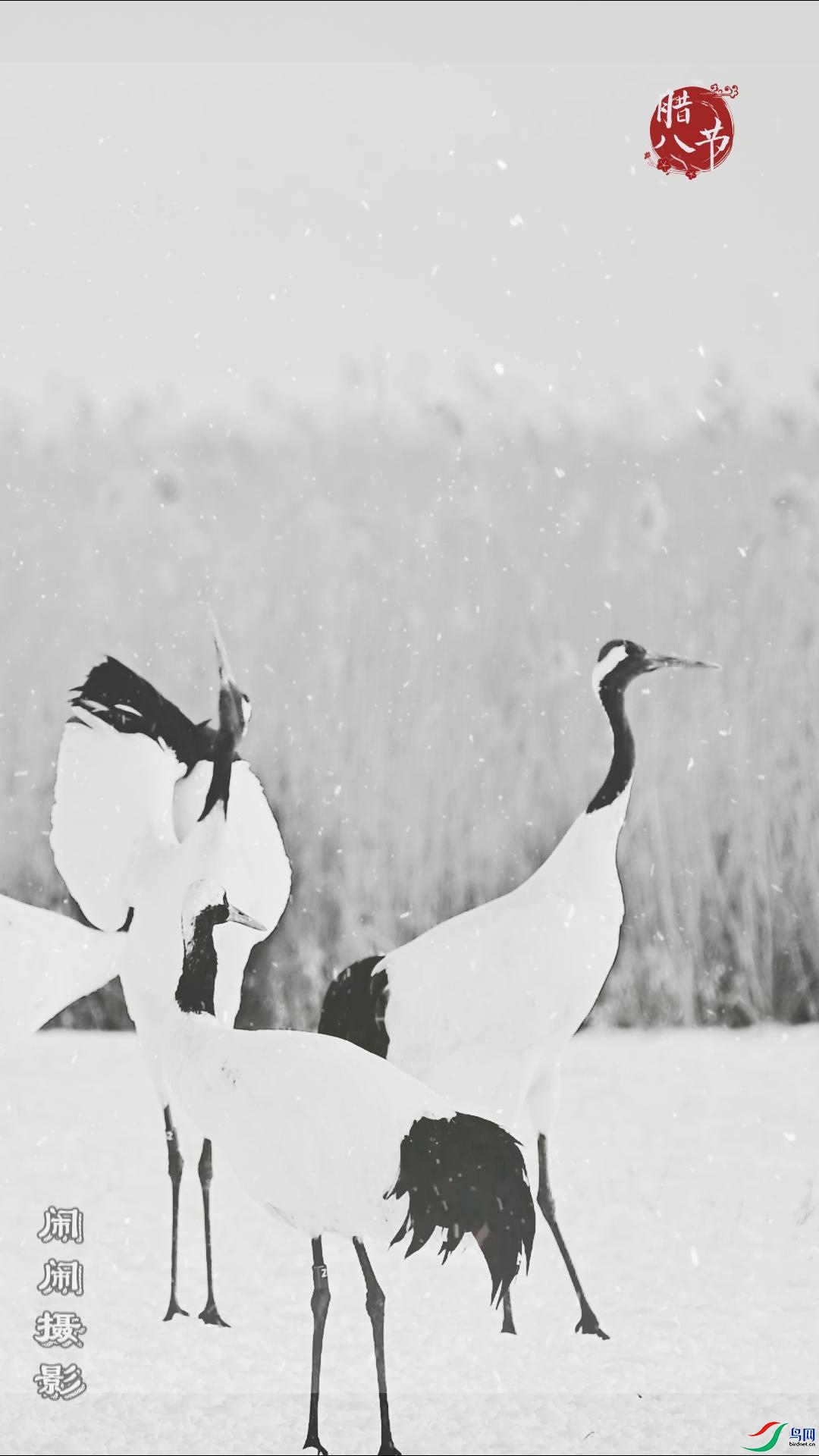 ���˽ڿ���