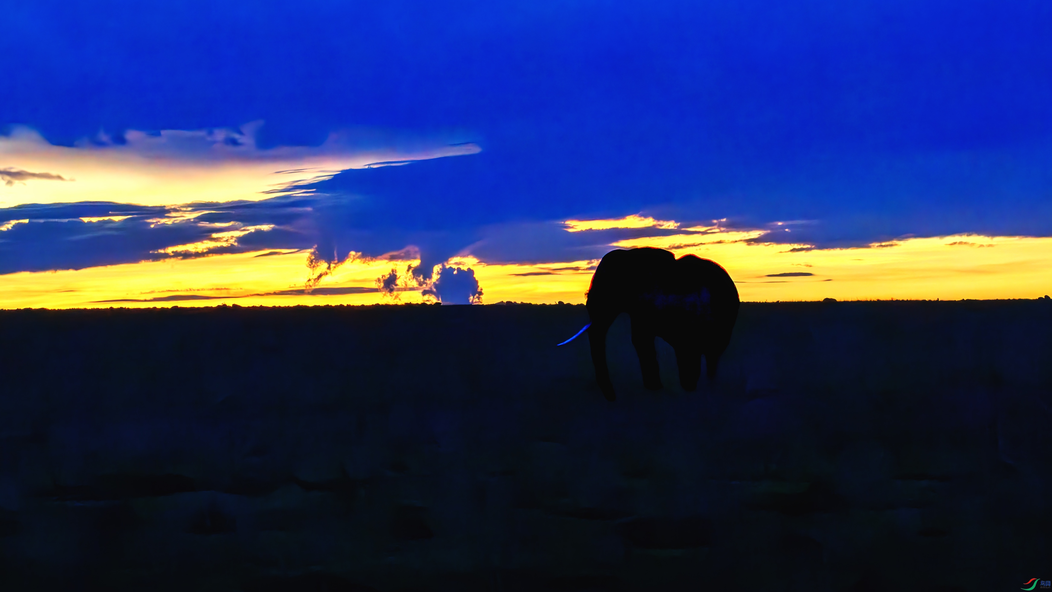 DSC_9431-����ǿ-NR ����.jpg