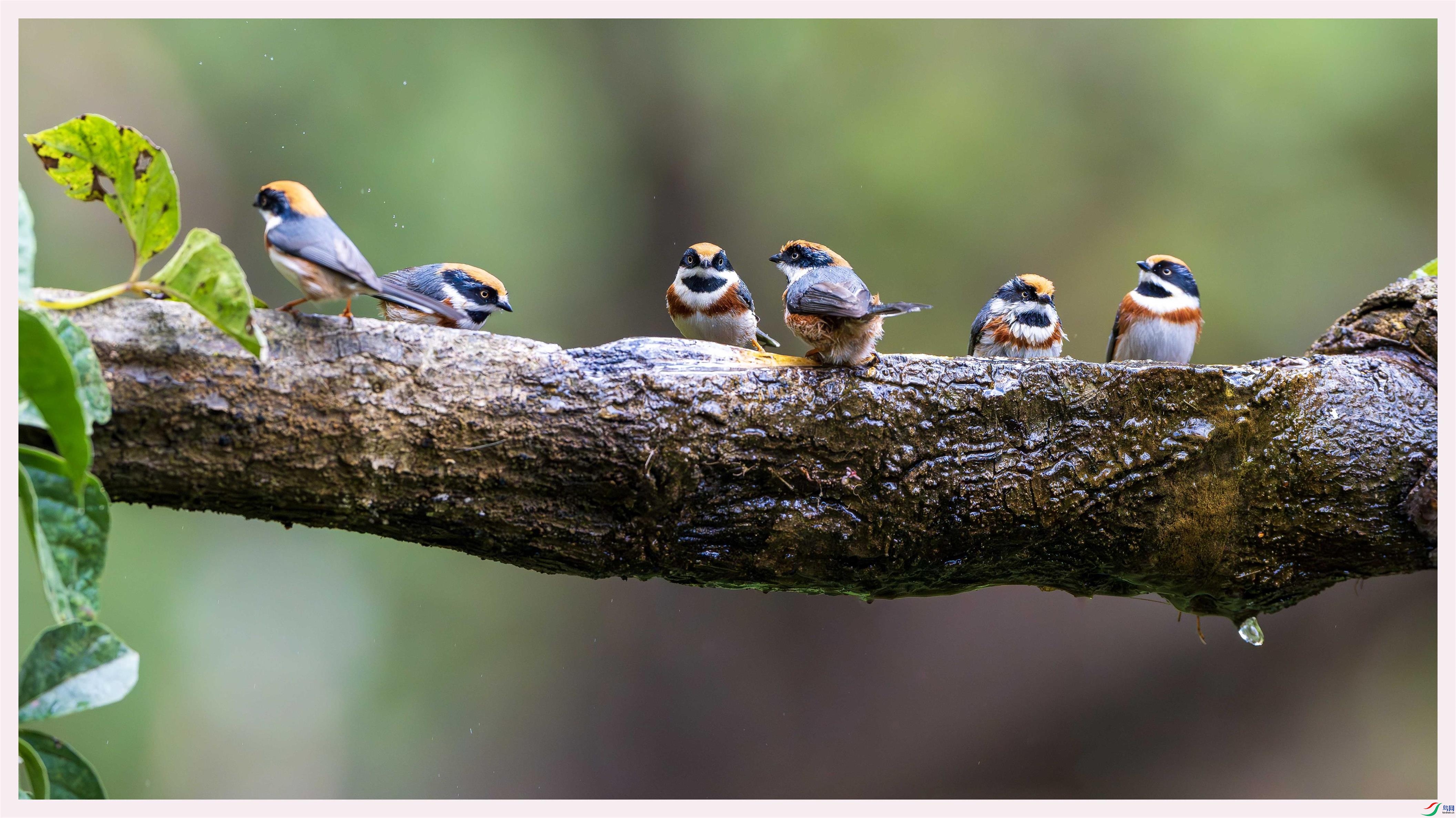 DSC09602-����ǿ-NR.jpg