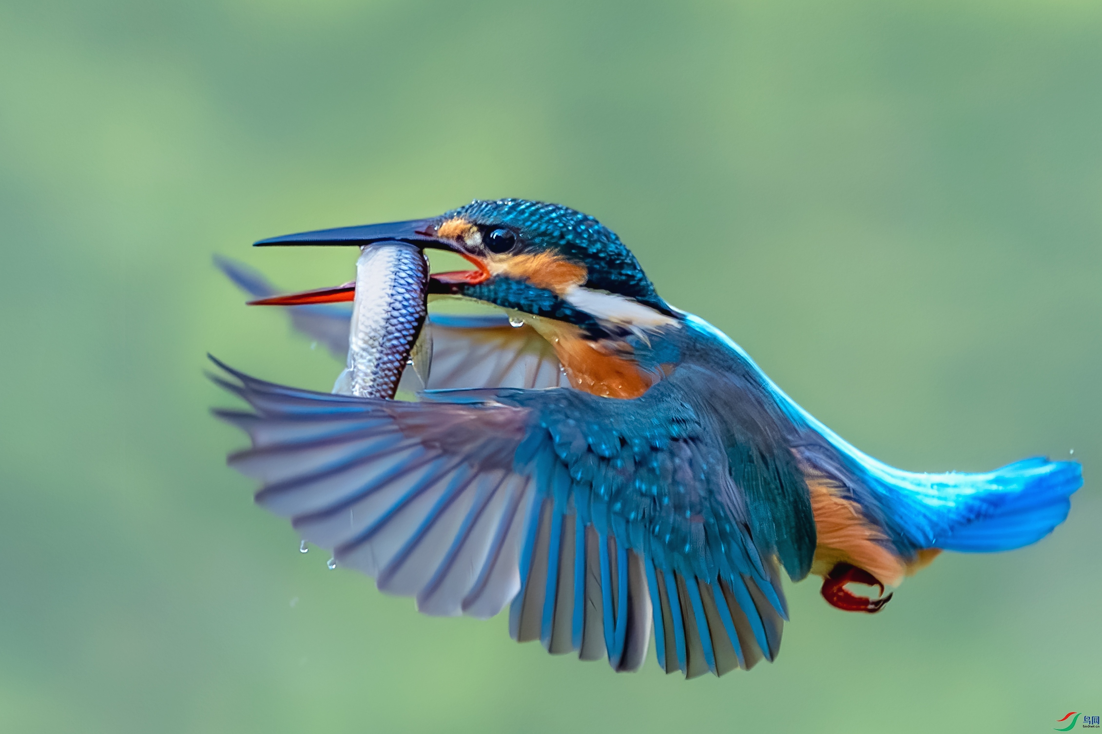 _DSC0553-����ǿ-NR ����С.jpg