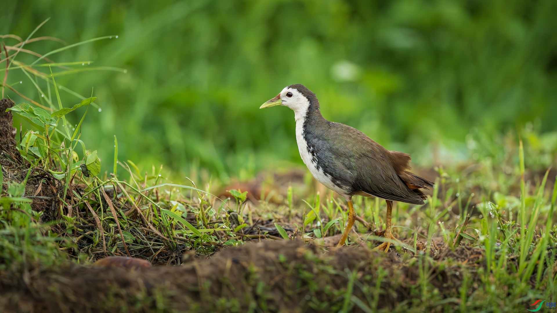 1_DSC7490-����ǿ-NR ����.jpeg