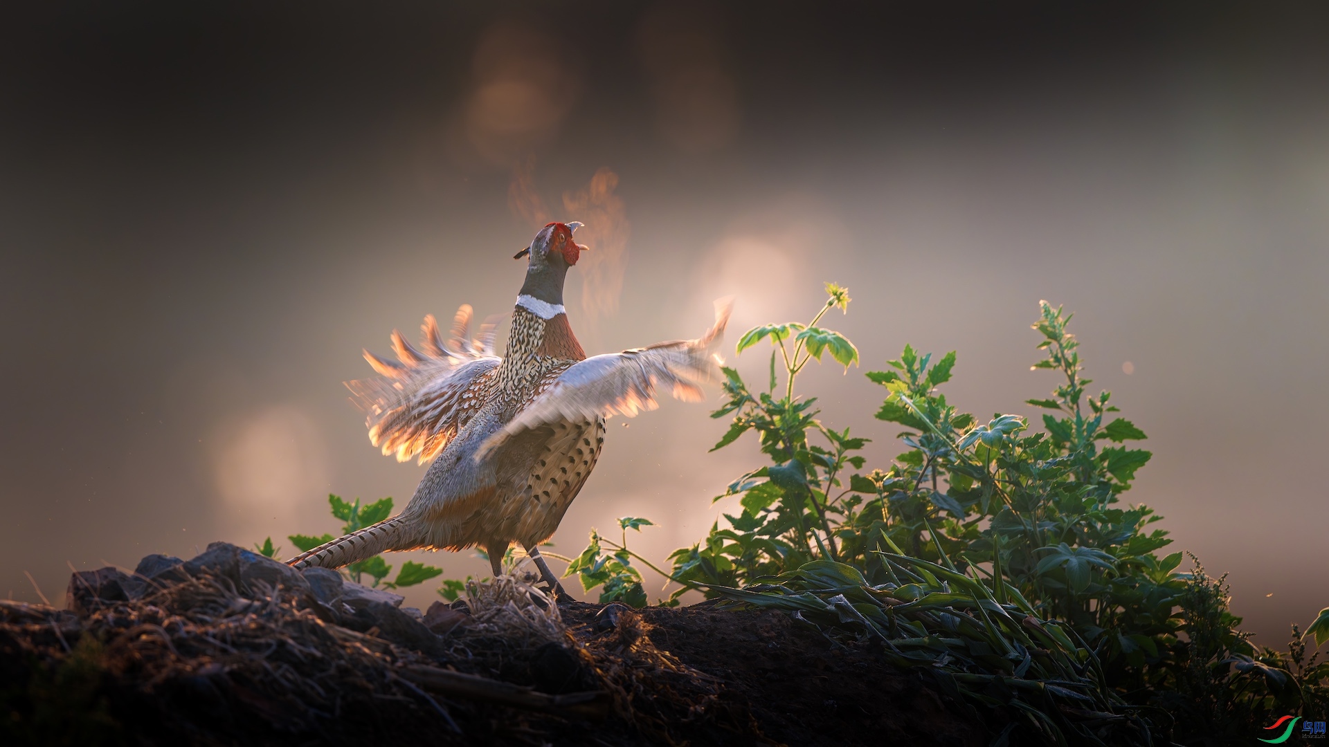 1_XXI6321-����ǿ-NR ����.jpeg