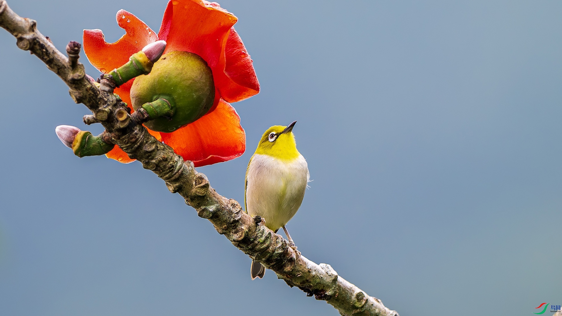 1_XXL2897-����ǿ-NR ����.jpeg