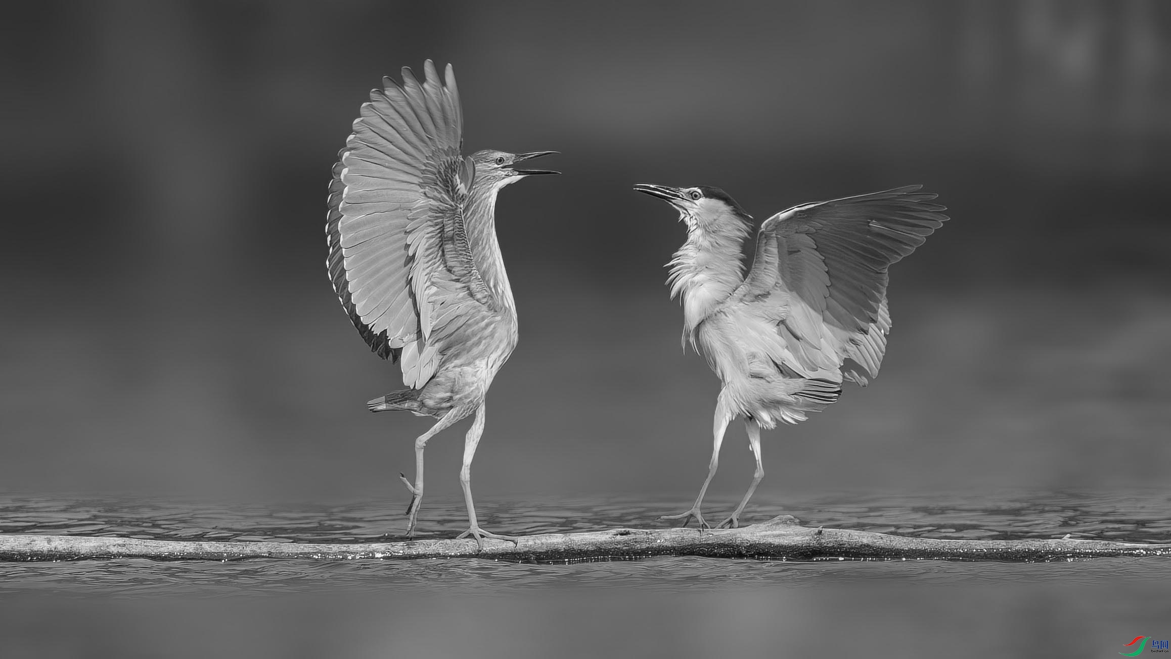 DSC05107 ����.jpg