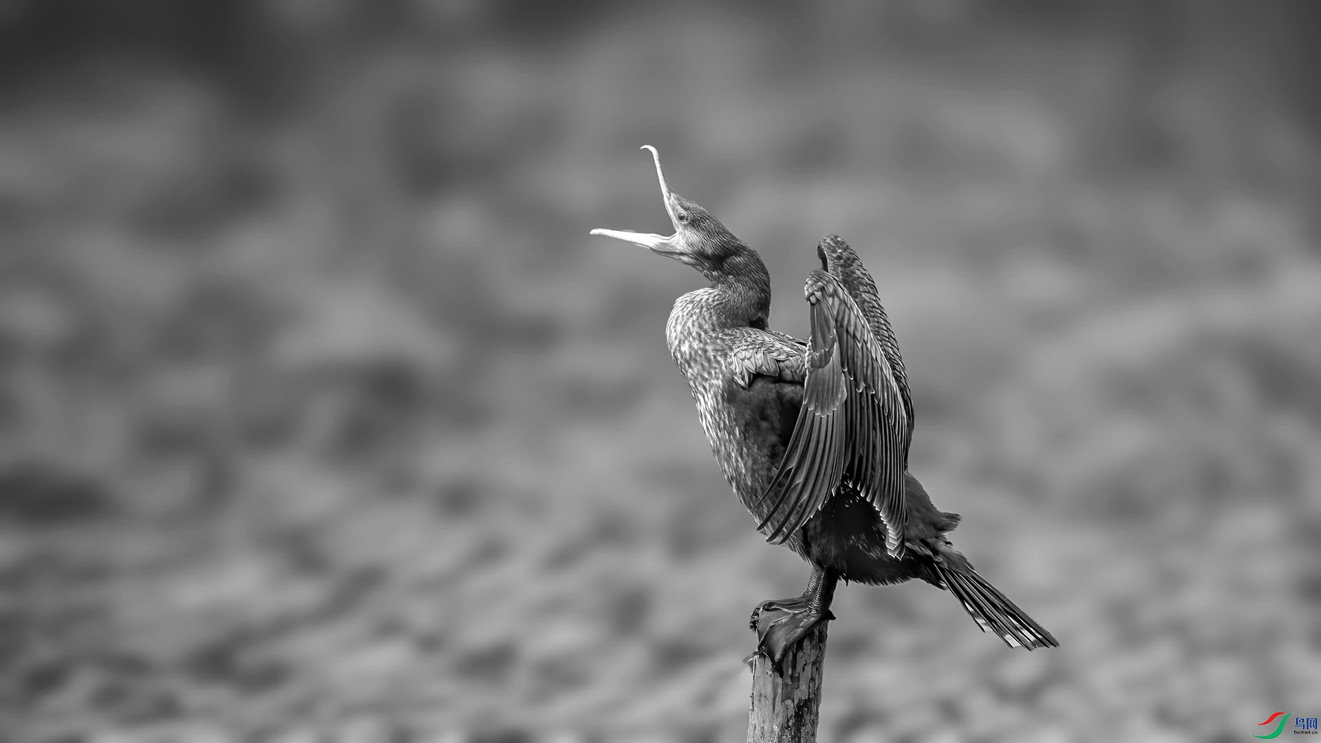 DSC07595 ���� 3.jpg