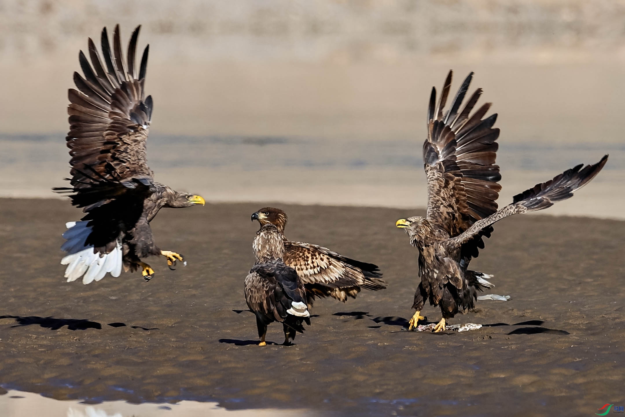 1��7�� ����.jpg