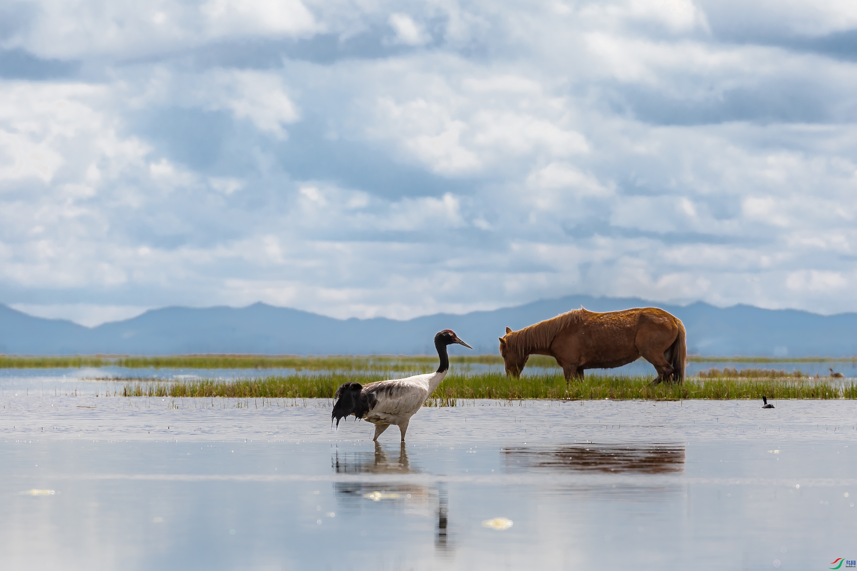 3S5A3776 ����.jpg