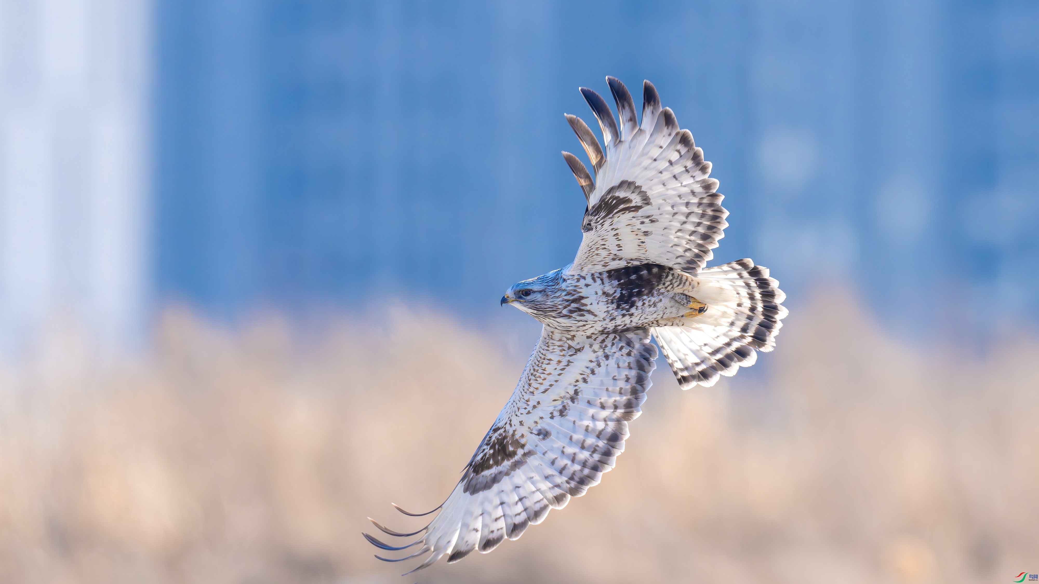 DSC00640- ����.jpg