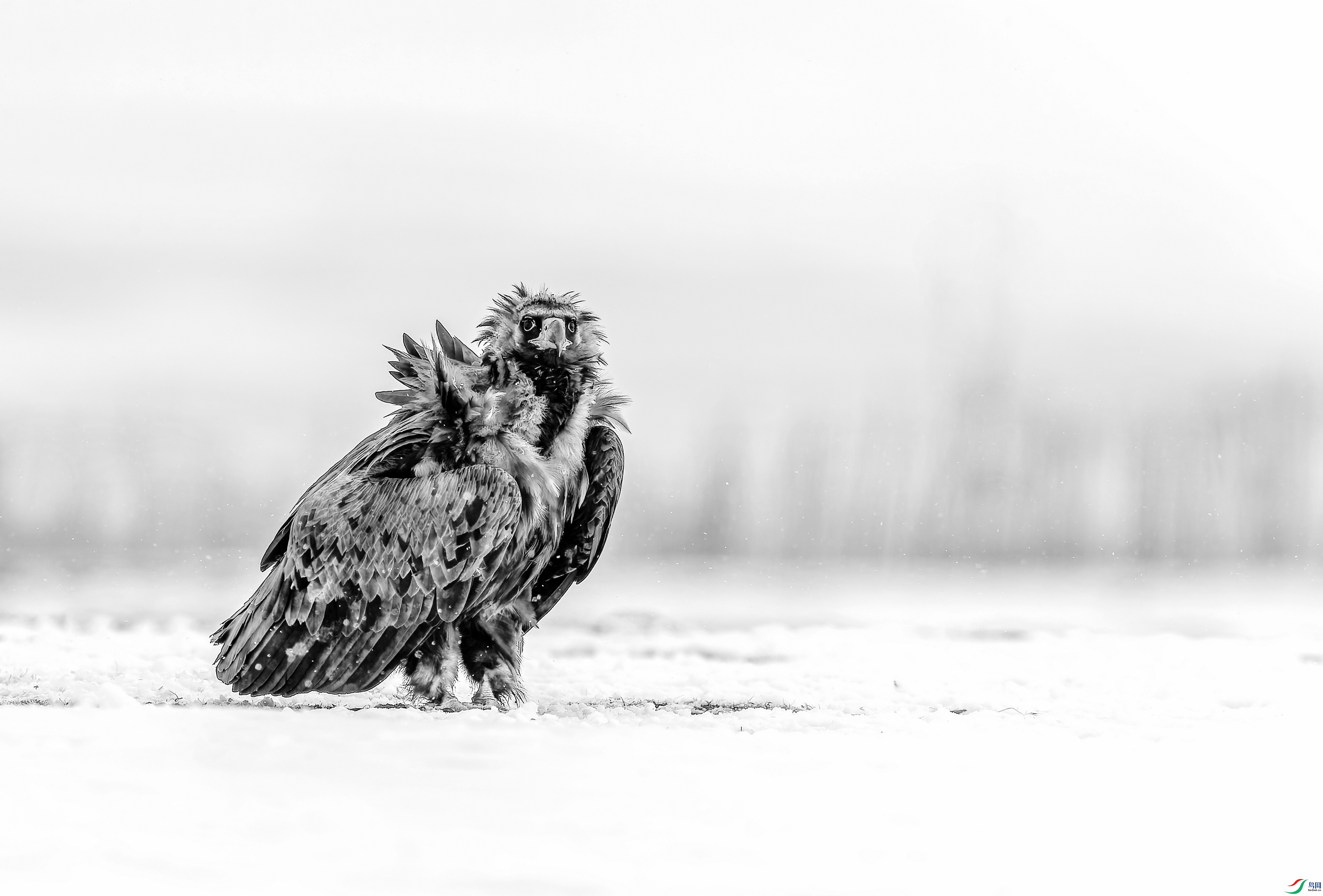 ͺ�� 3 (3)-01.jpg