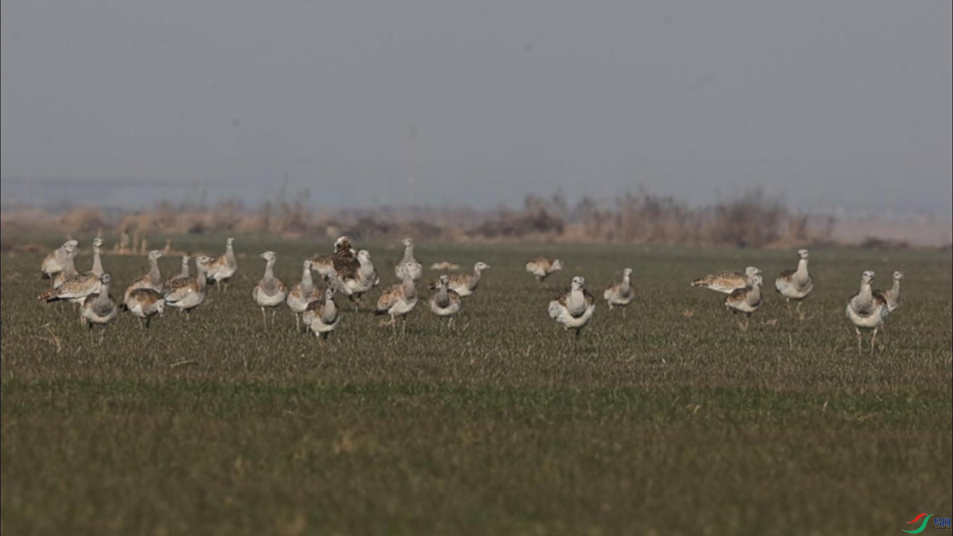 1��7��   ������μ�-����.jpg