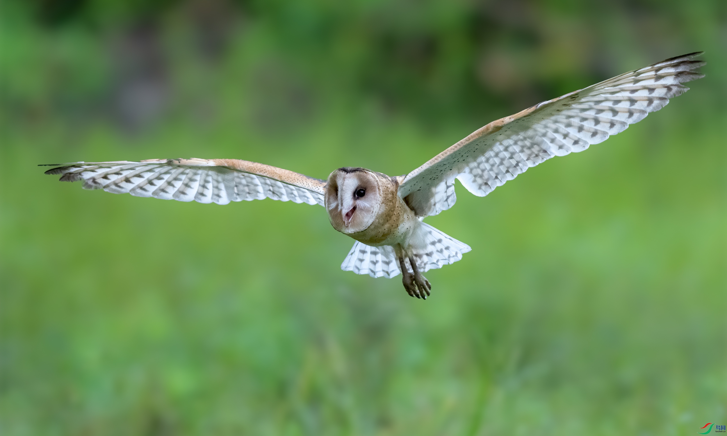 DSC_1074-1.jpg