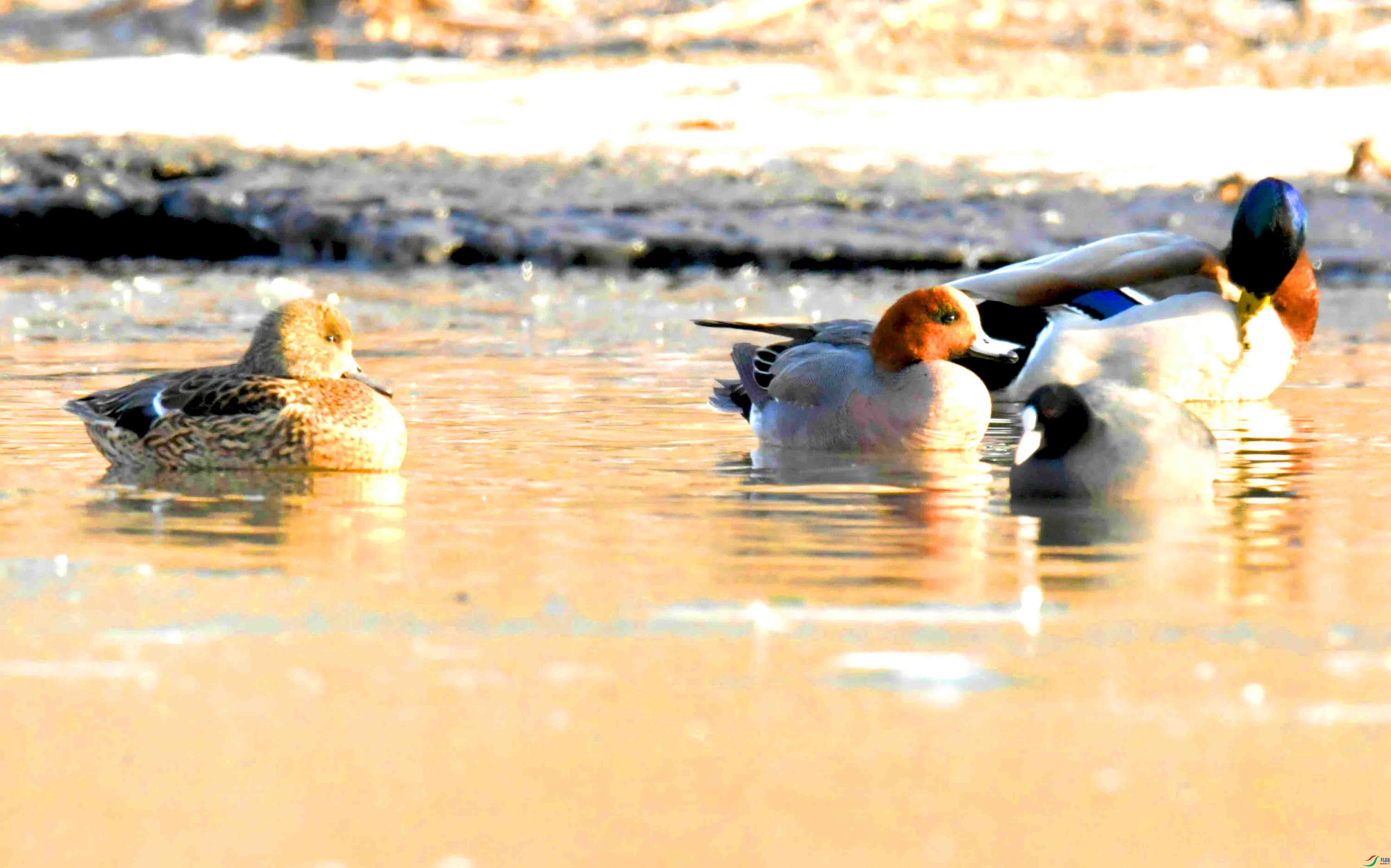 DSC_5792.JPG