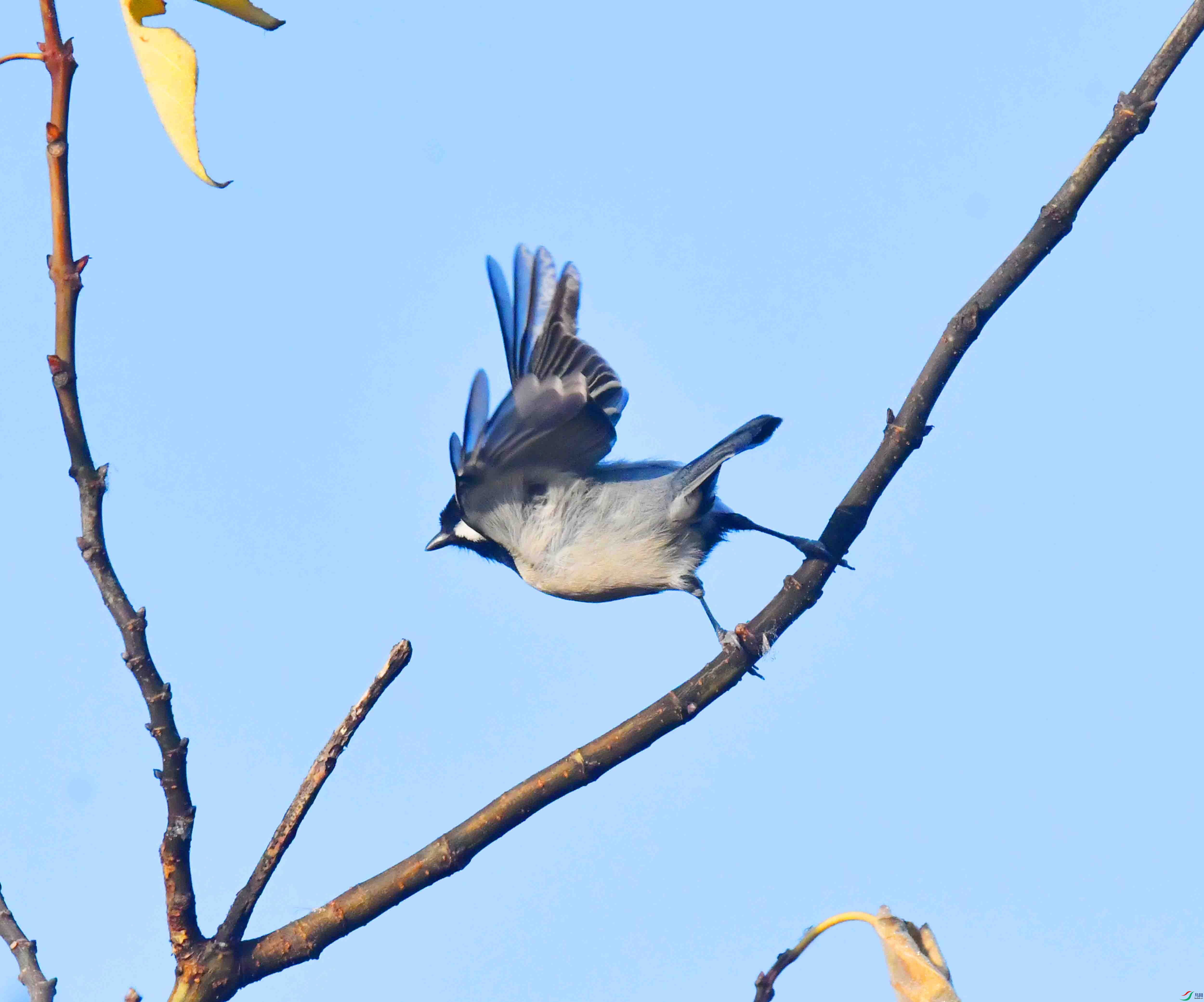 DSC_5025.JPG