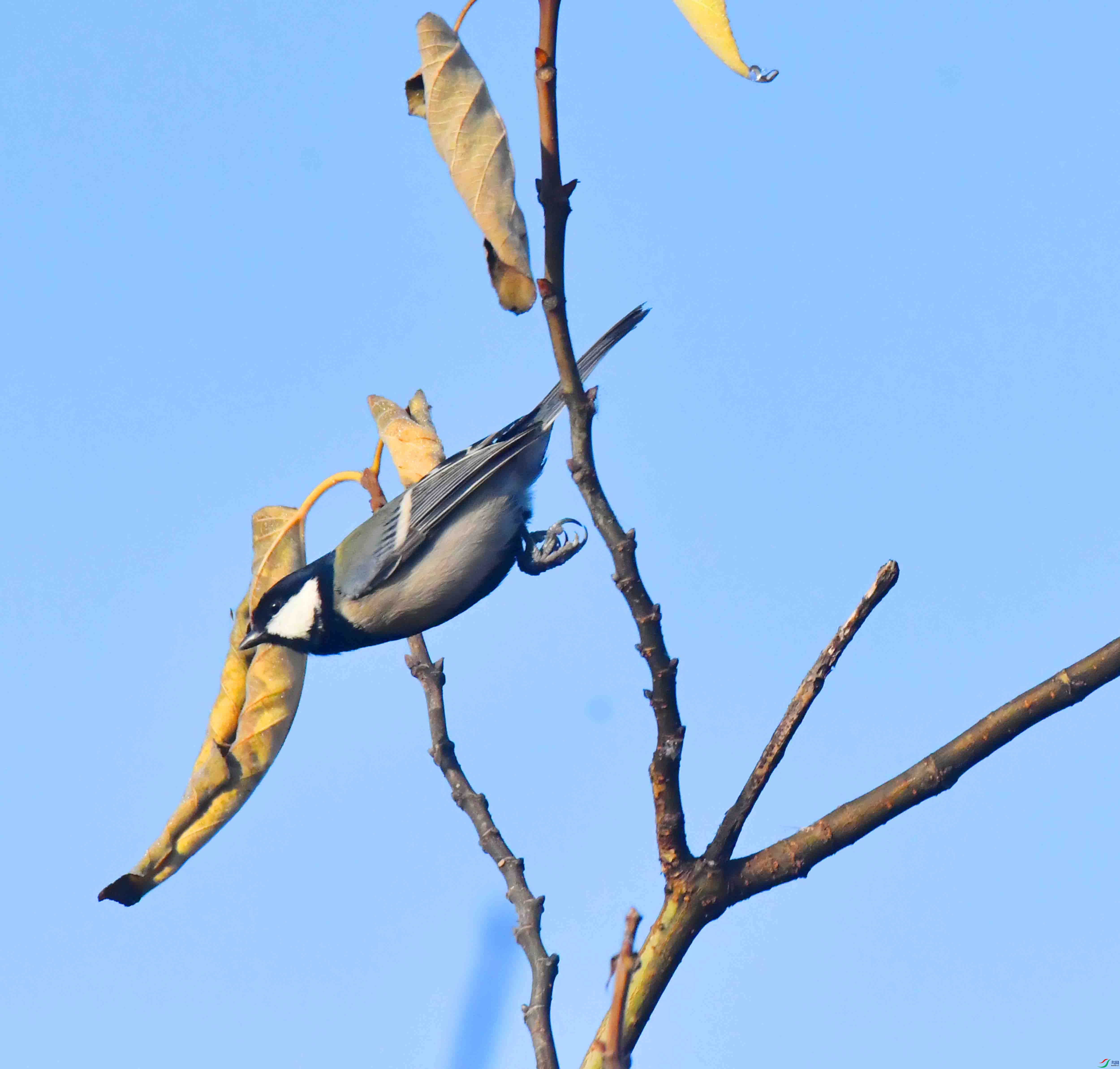 DSC_5026.JPG