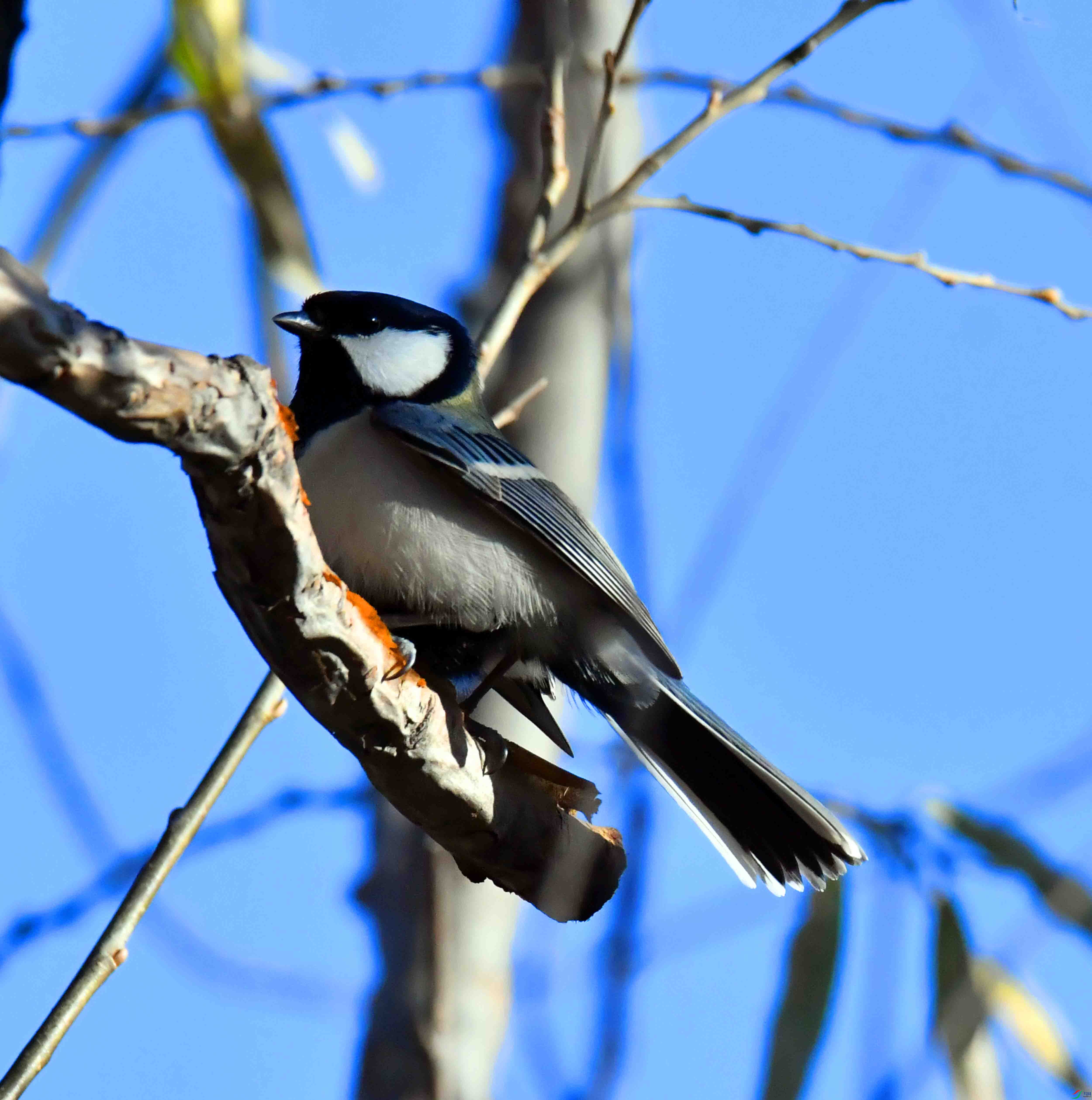 DSC_6730.JPG