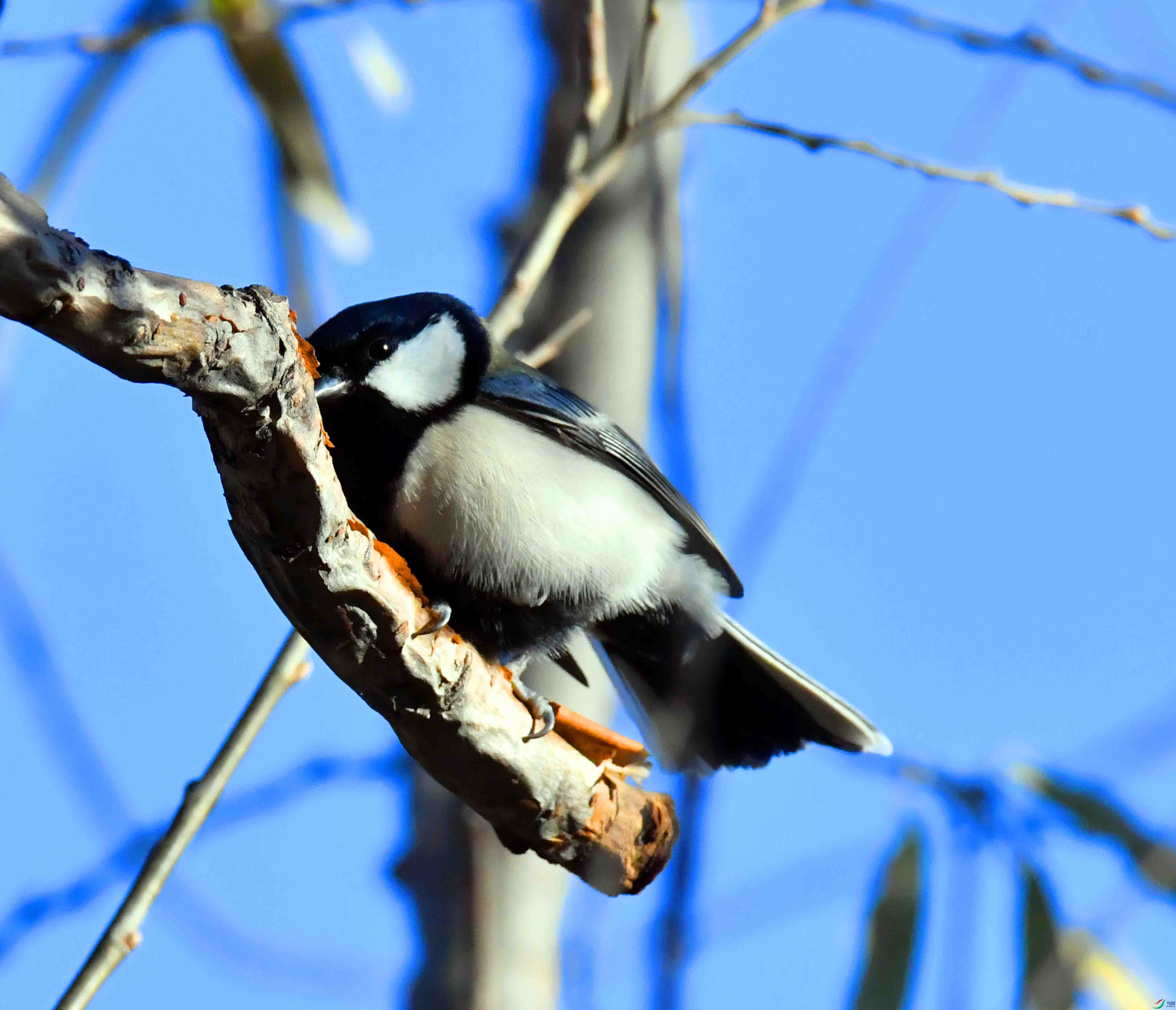 DSC_6738.JPG