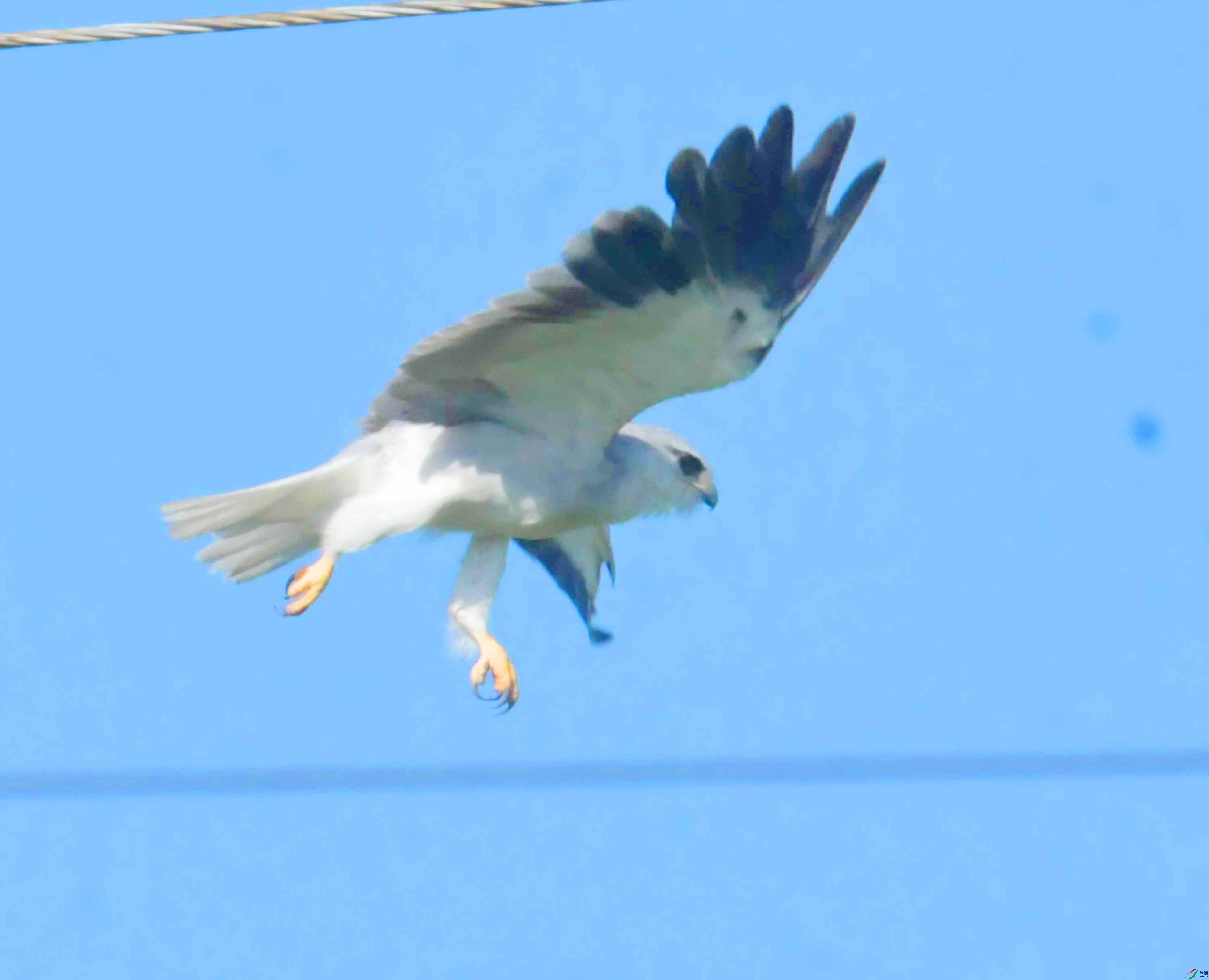 DSC_5802.JPG