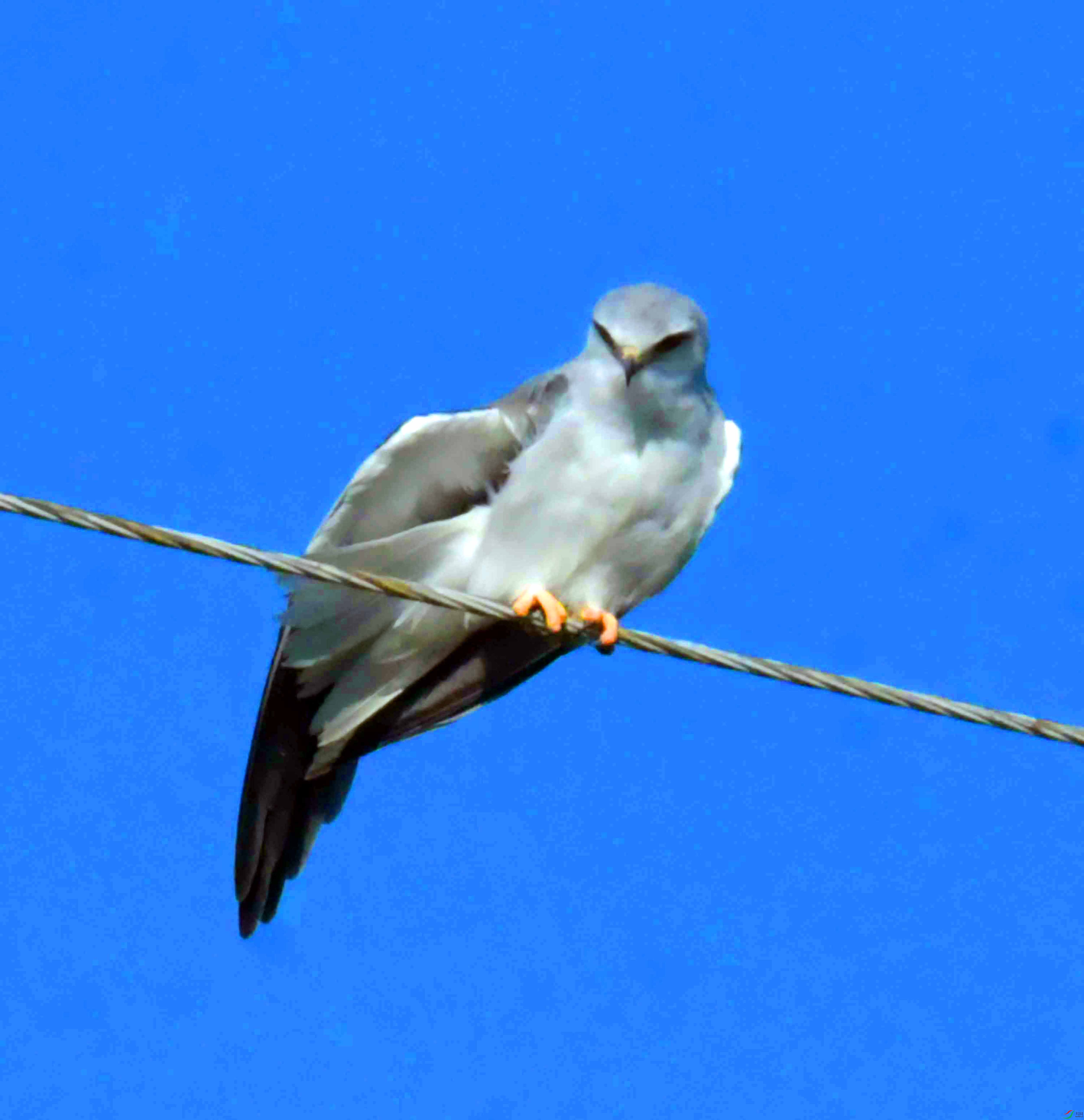 DSC_5816.JPG