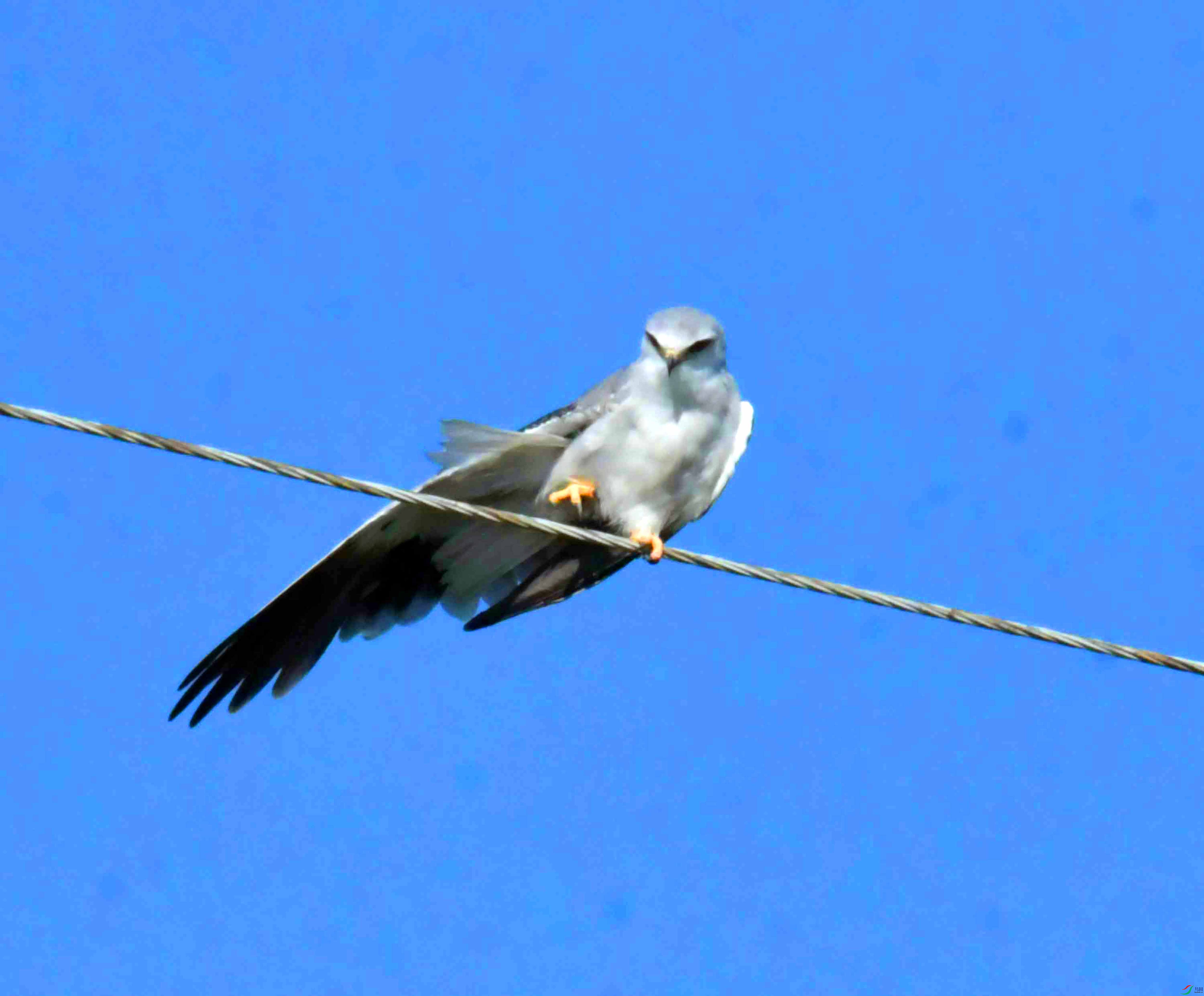 DSC_5817.JPG