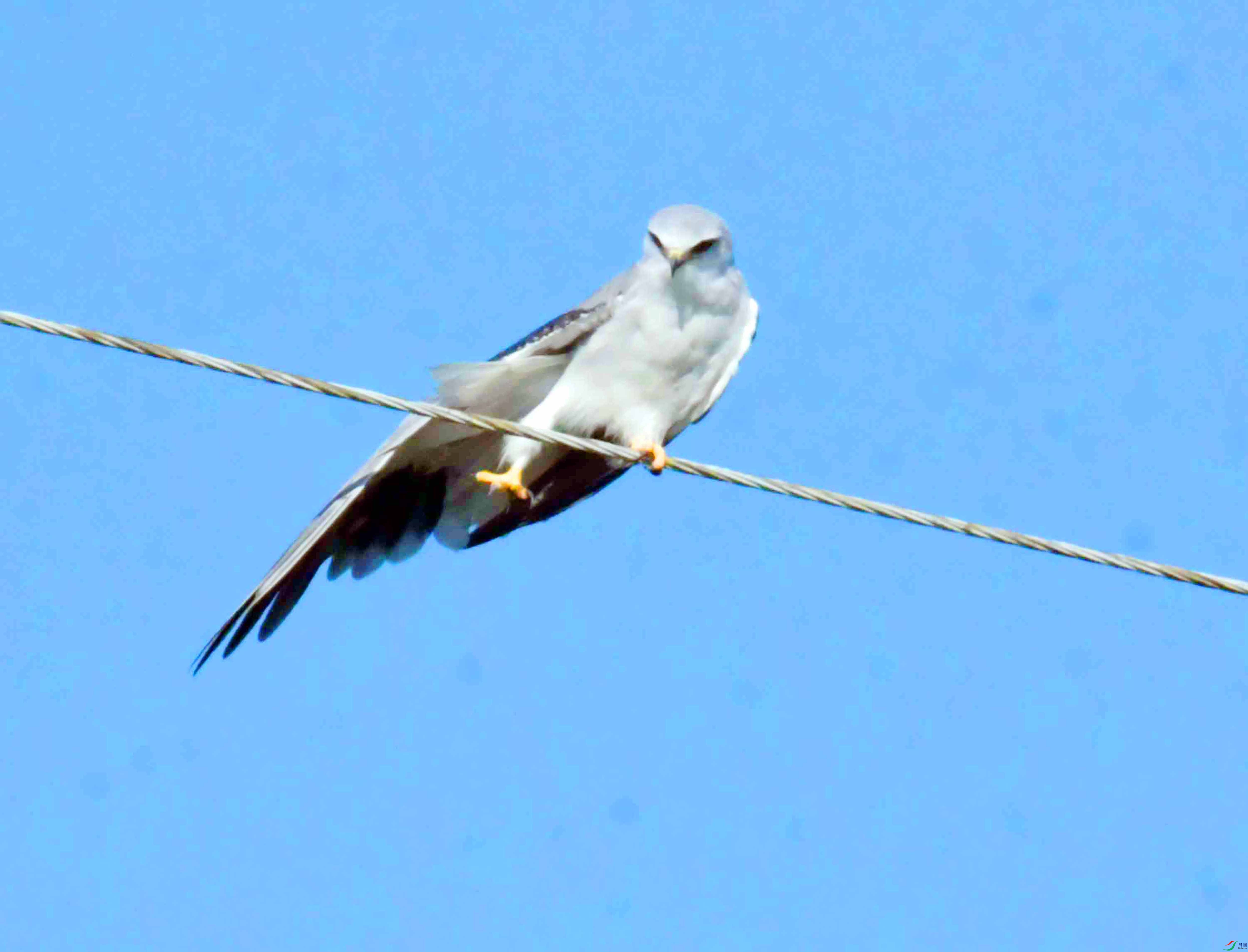 DSC_5822.JPG
