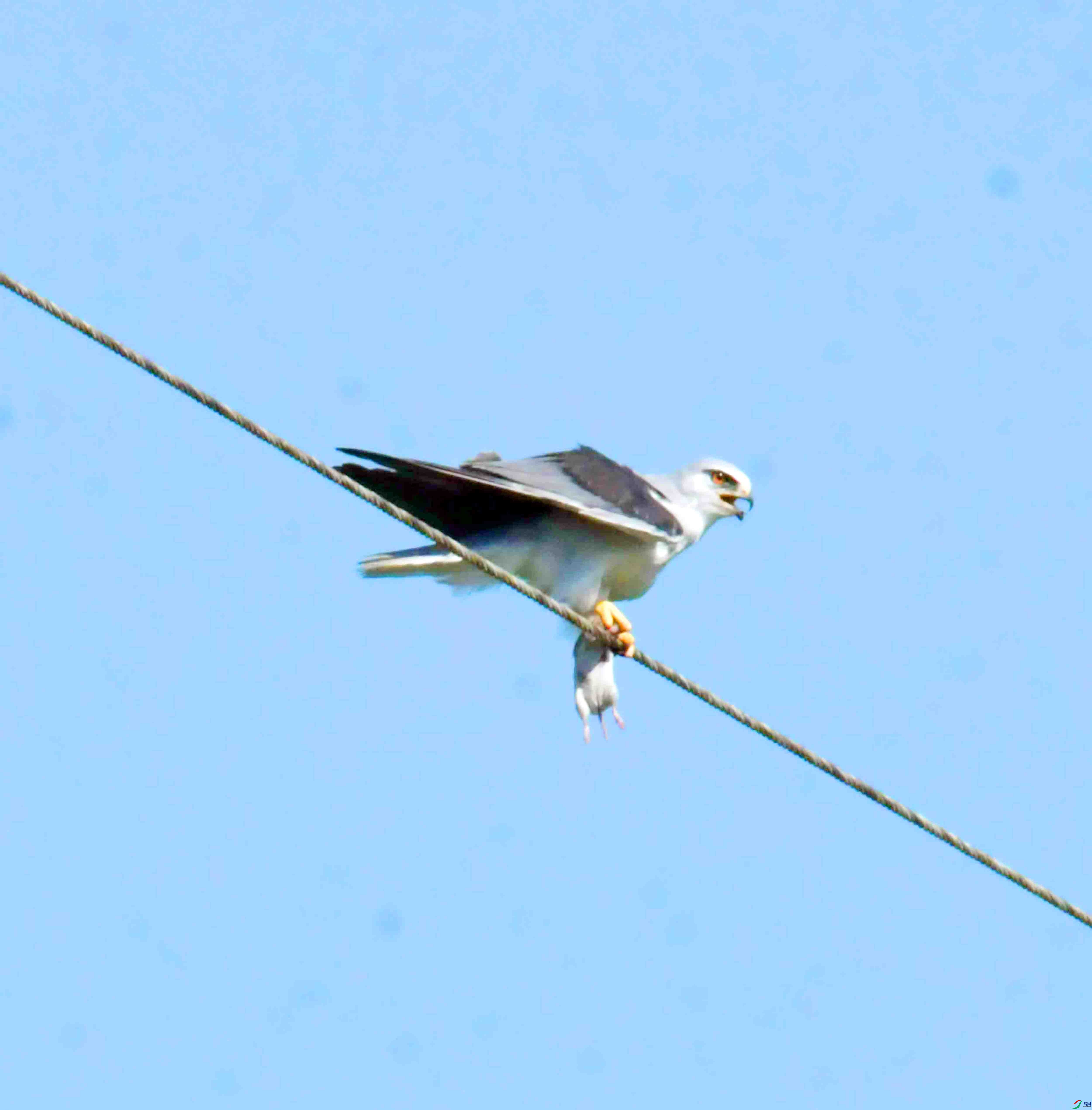 DSC_5918.JPG