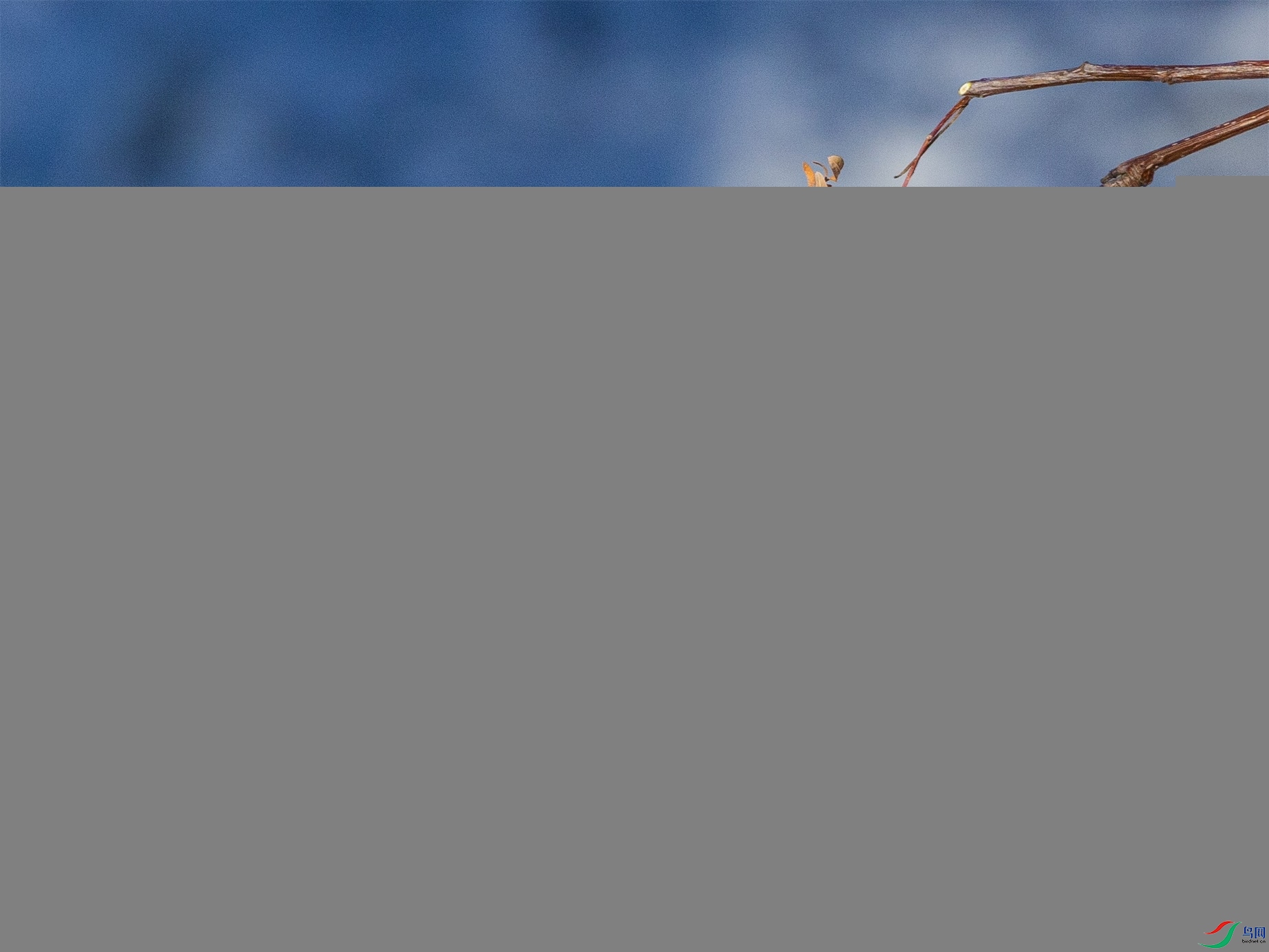 1K3A4238 ����1.jpg