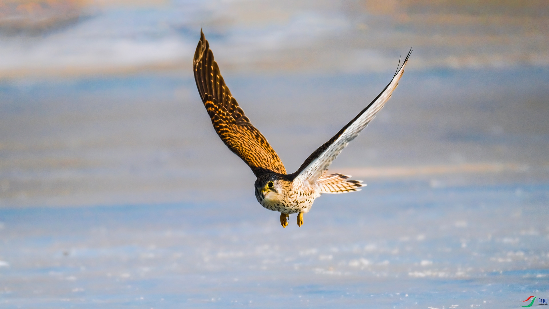DSCF5638.JPG