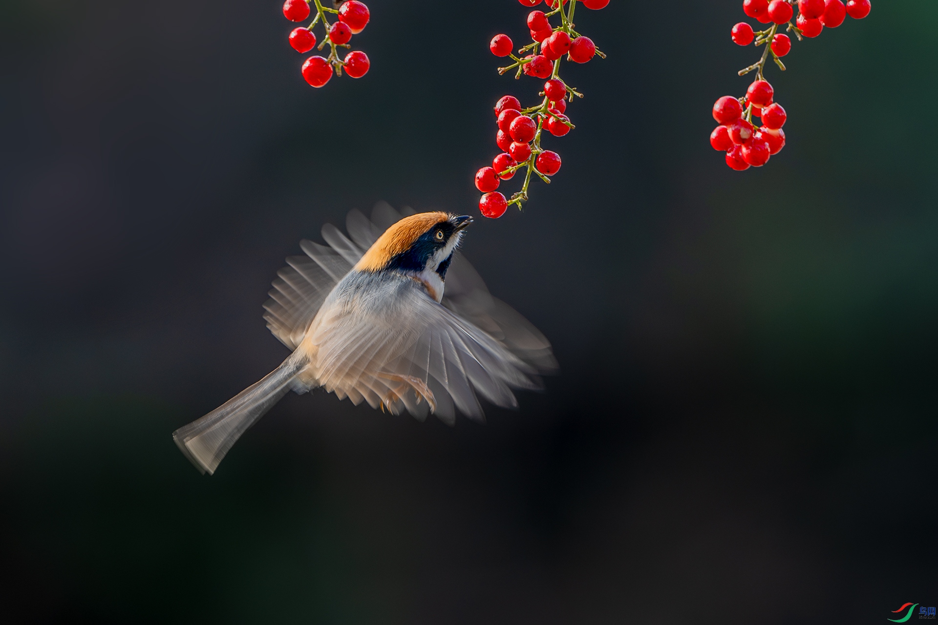 _DSC5316-����ǿ-NR ����С.jpg