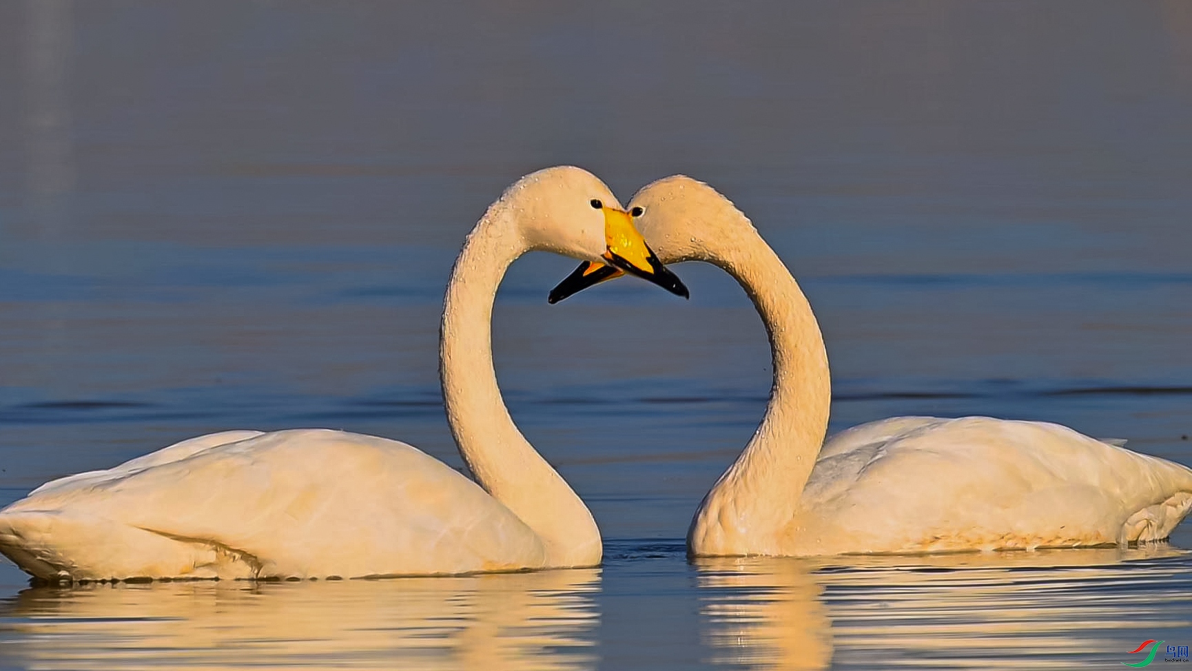 ���������-���� ����.jpg