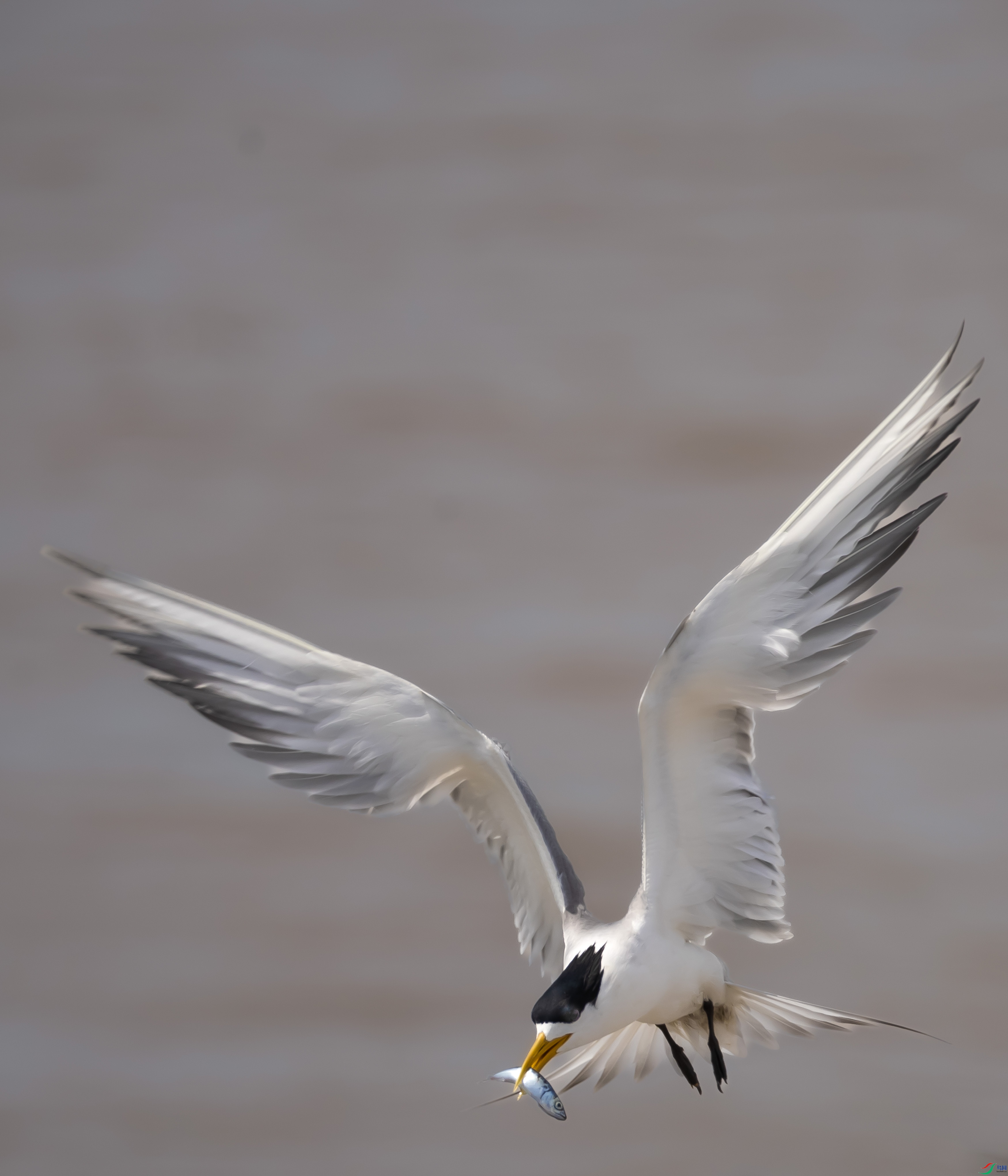 085A4130���� (1)_1.jpg