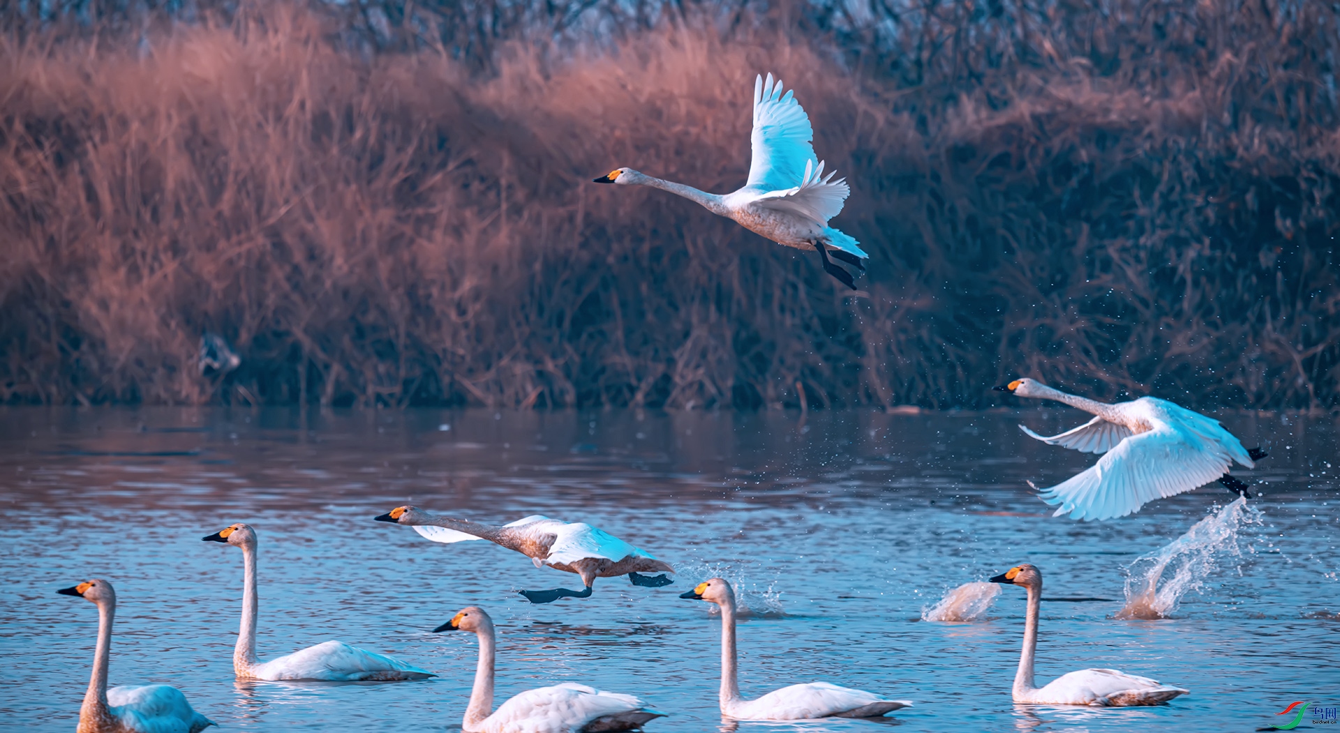 С���һ�������