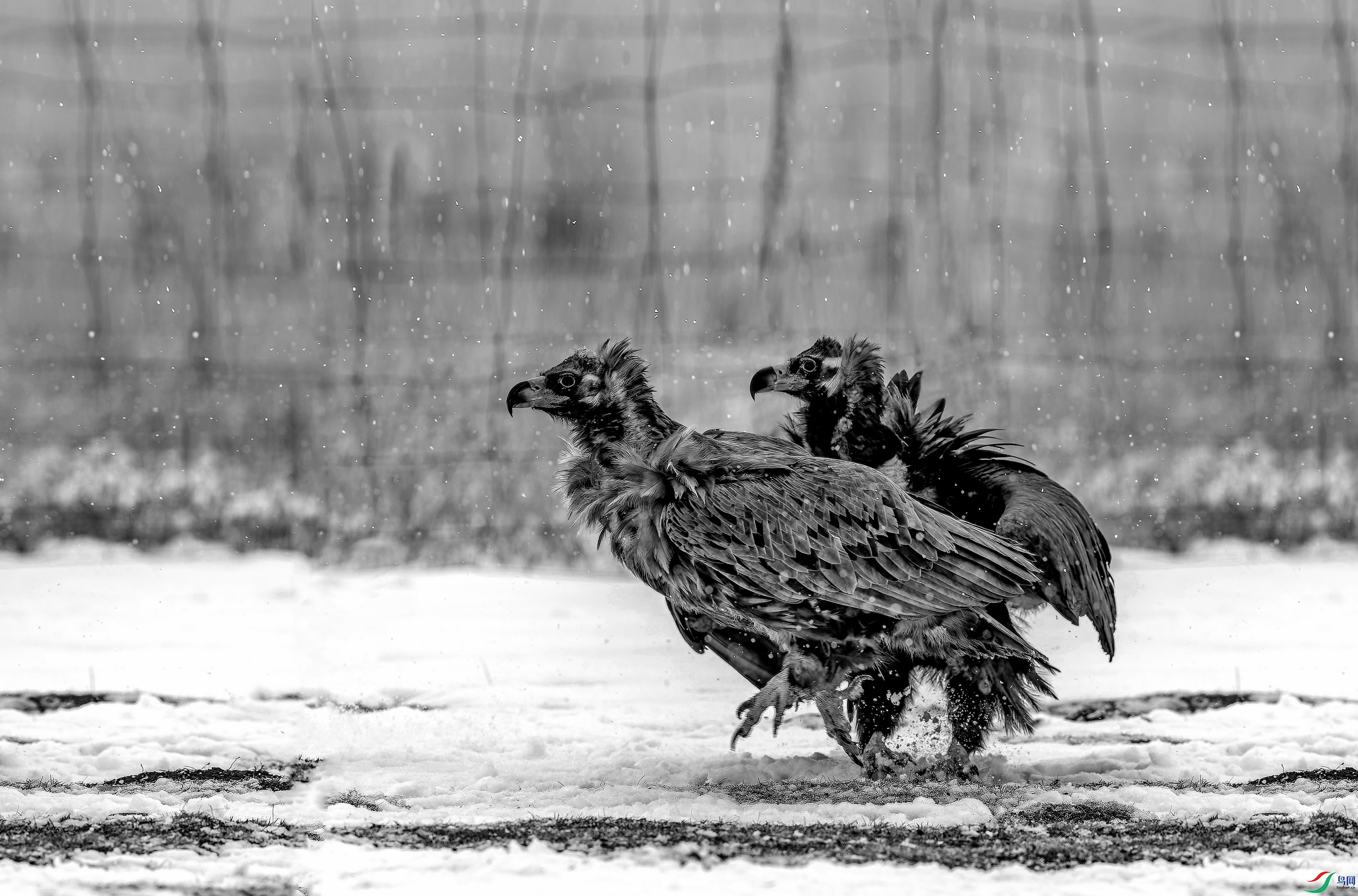 ͺ�� 3 (20)-1-1.jpg