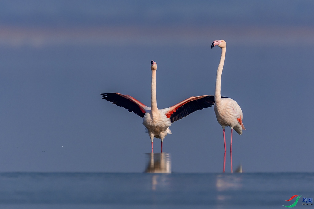 0F7A7239 ����.jpg