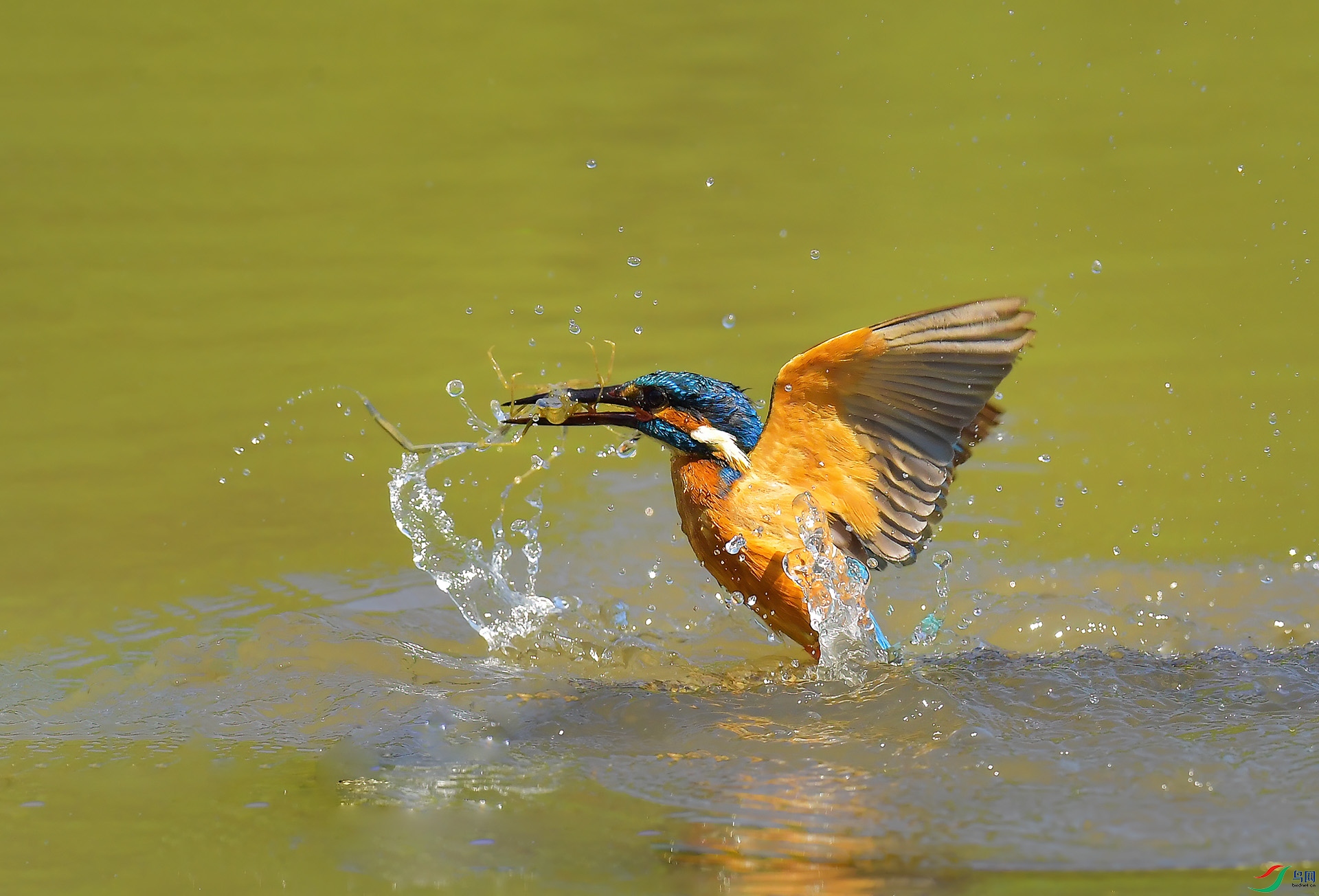 DSC_1407 -1.jpg