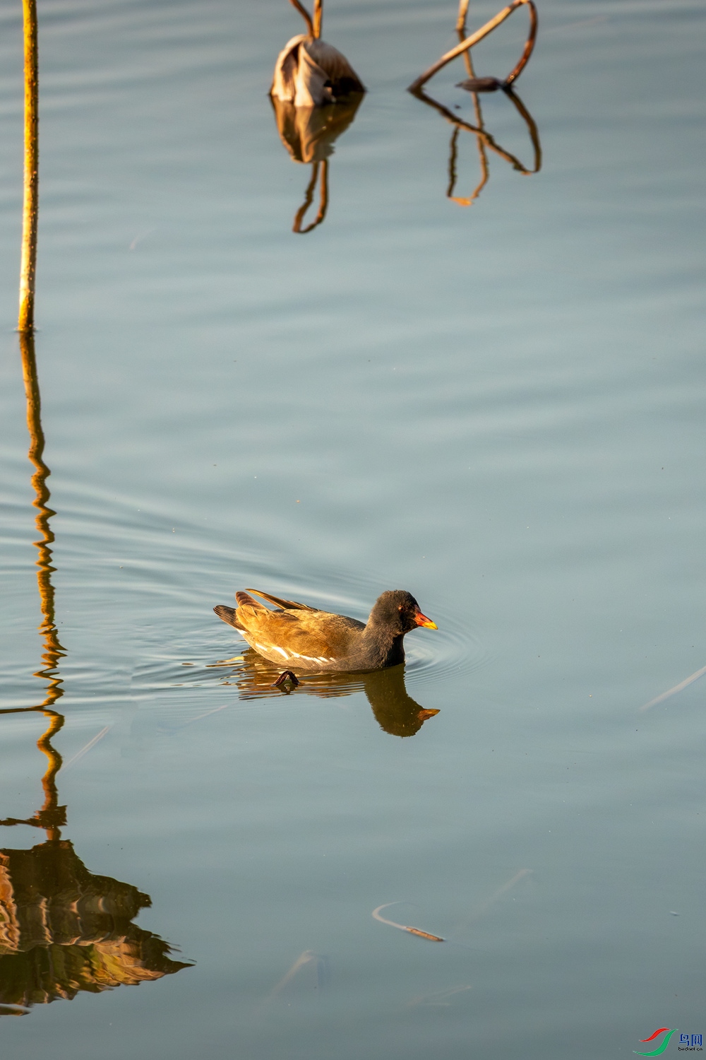 _DSC3215.jpg