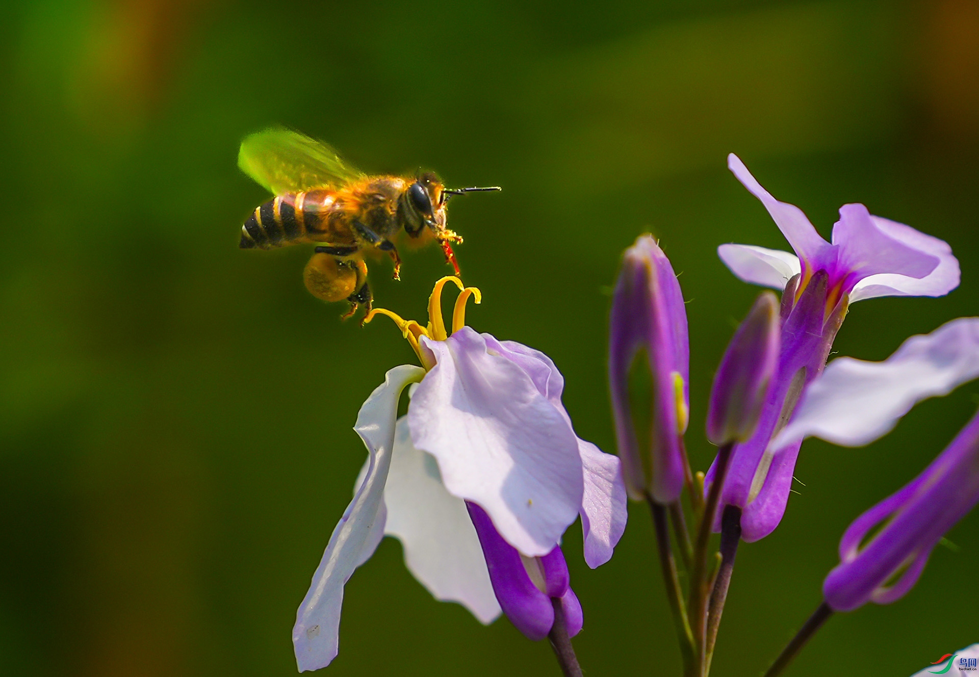 DSC01493 ���� 2.jpg