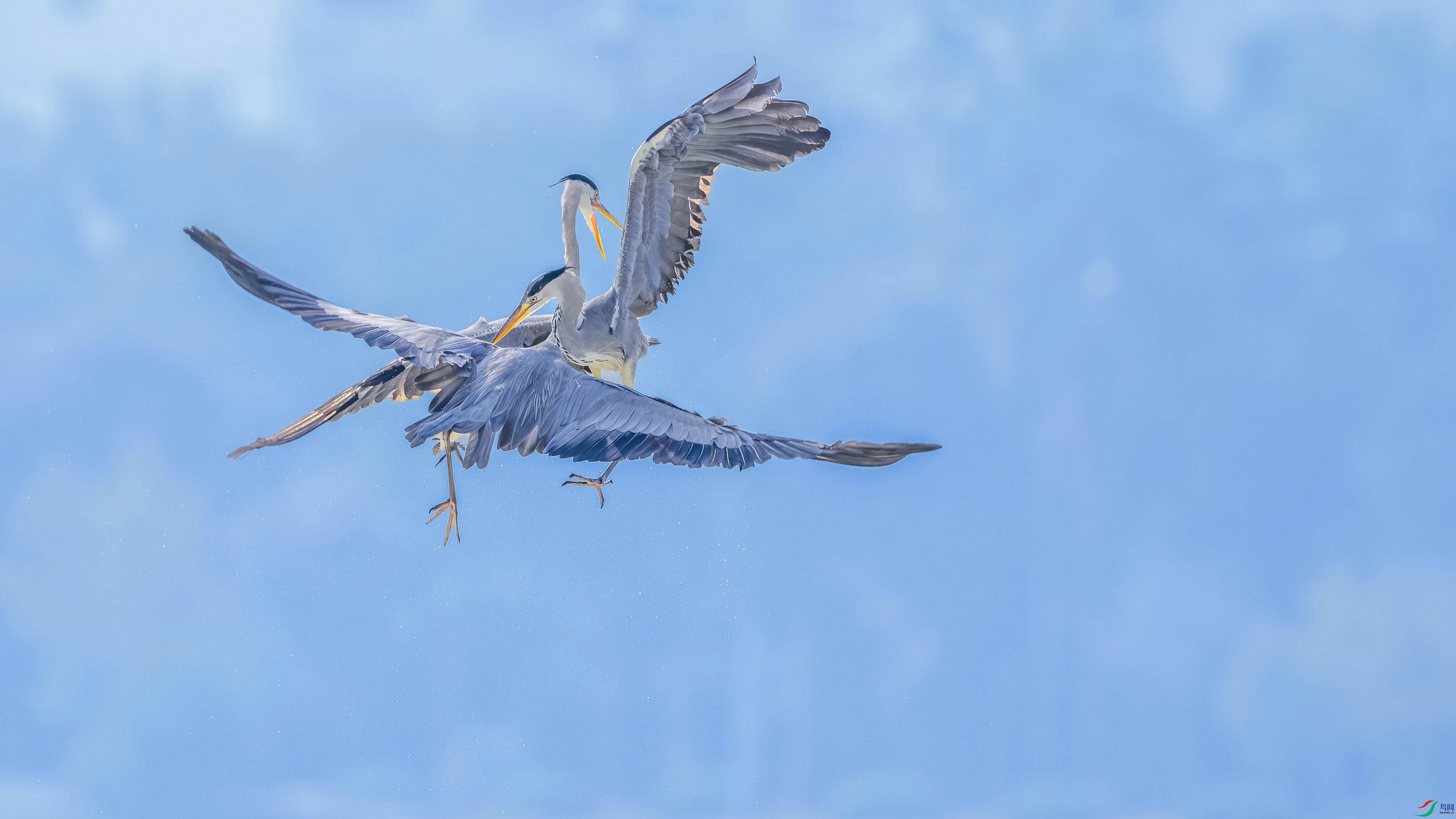 _DSC4881 ӵ������ ���� 2.jpg