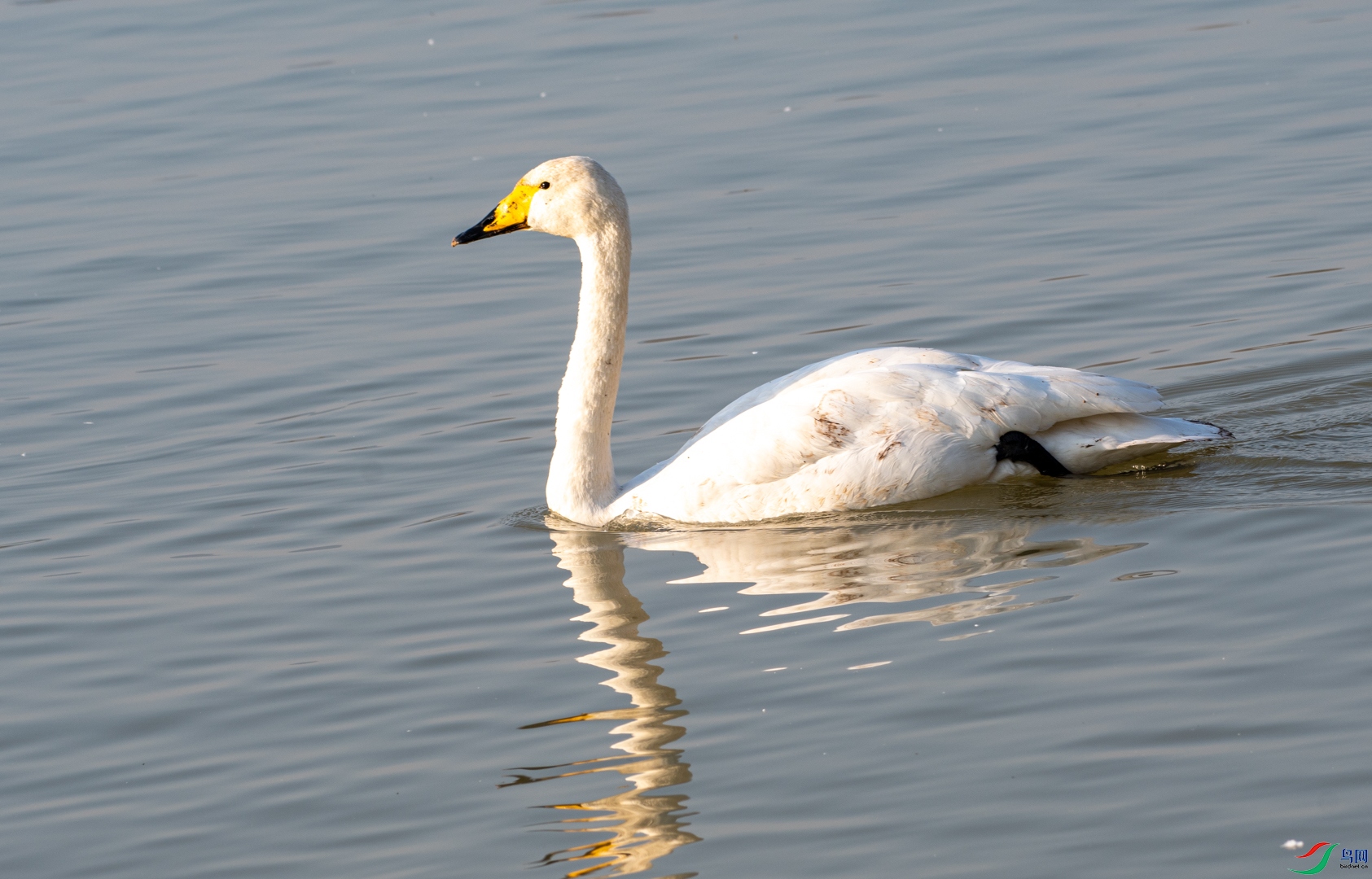 DSC_8564.jpg