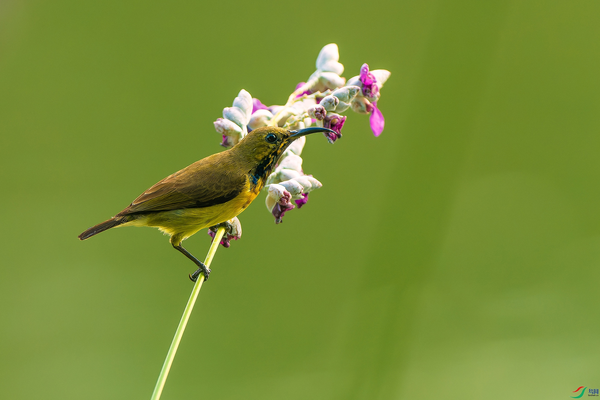 PB184805-ORF_DxO_DeepPRIME ���� 2.jpg