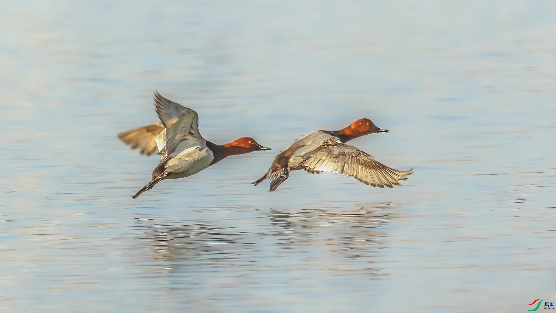 AE1V9064 ����1.jpg