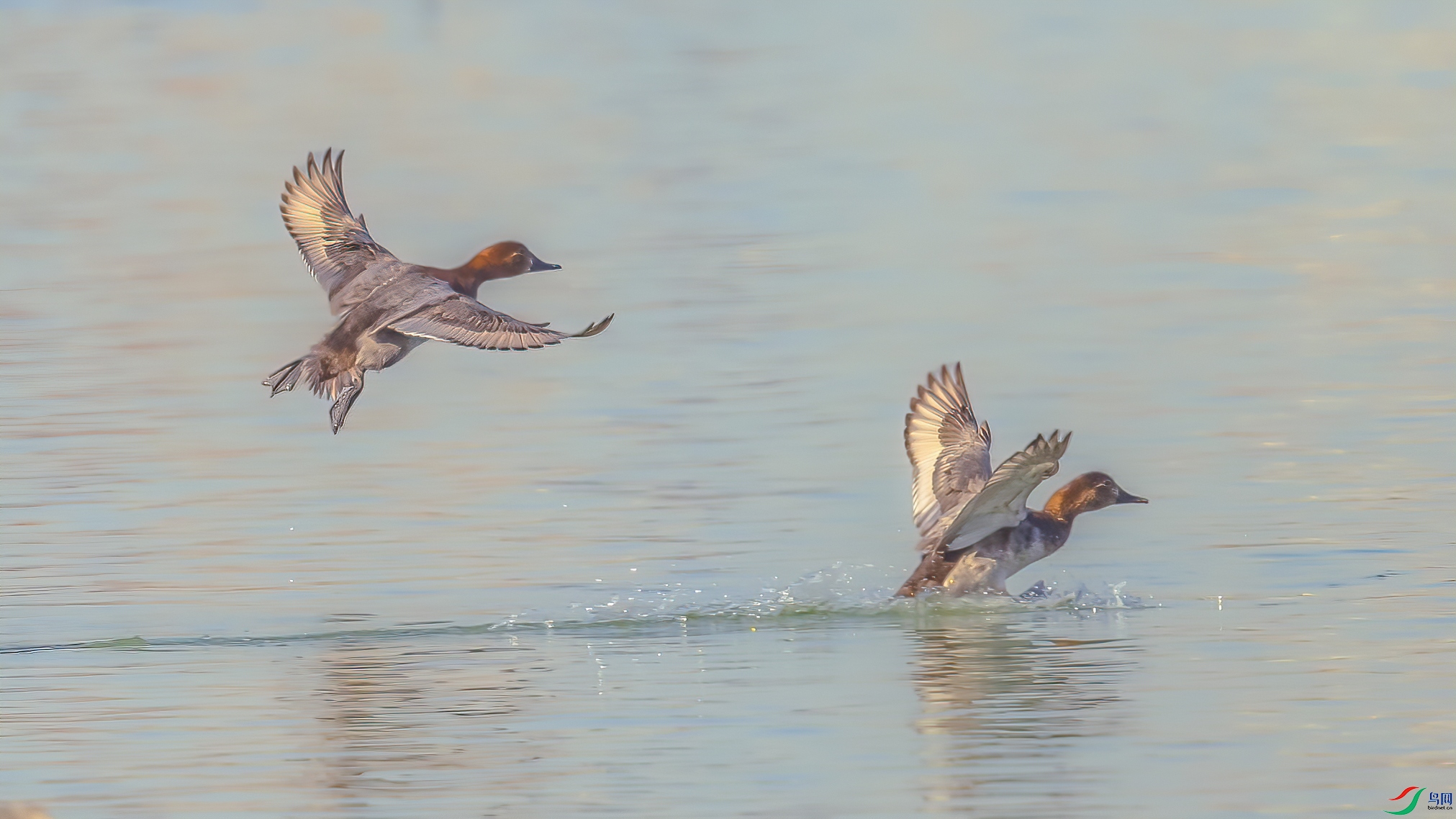 AE1V9064 ����.jpg