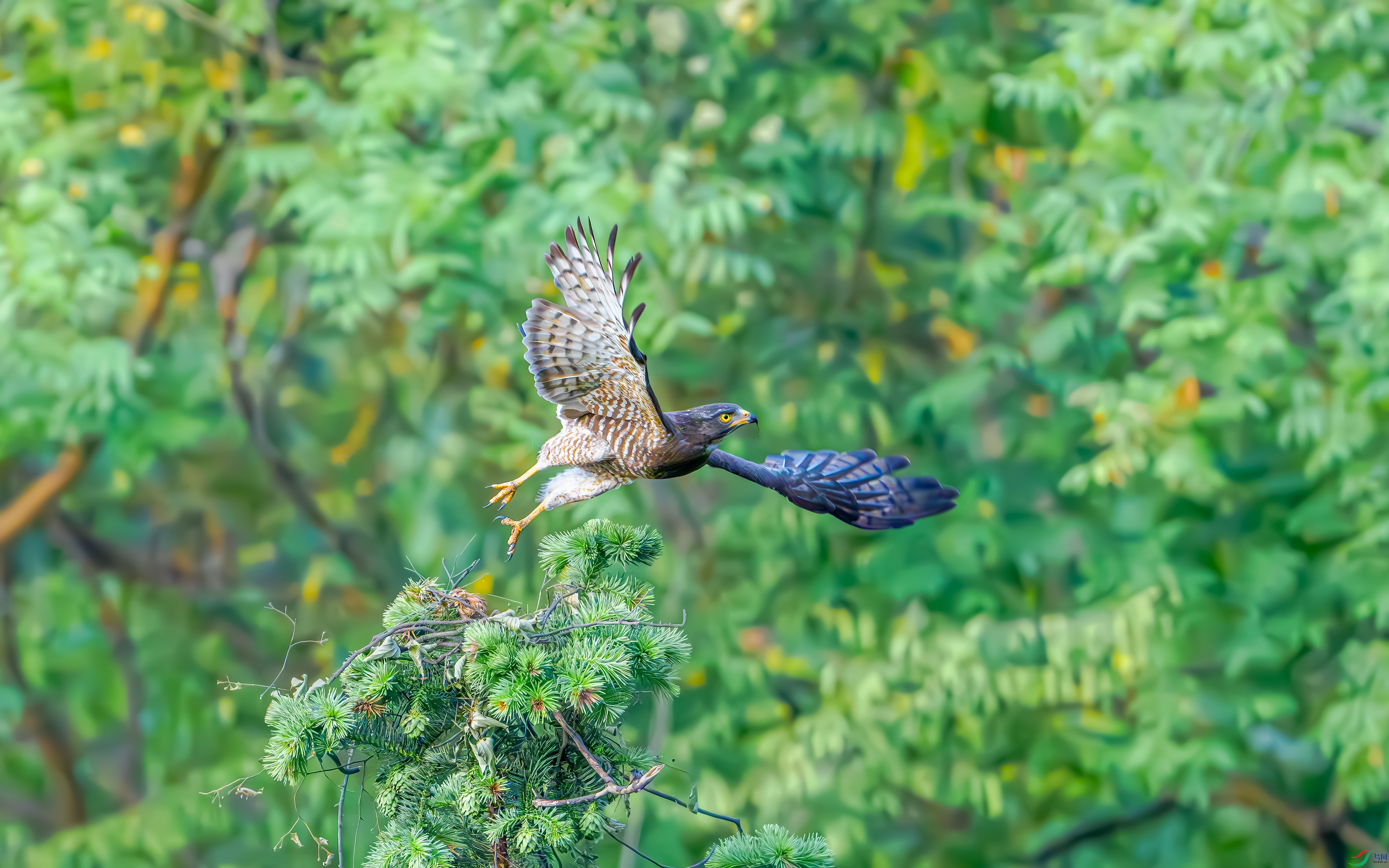 DSC_8457.jpg