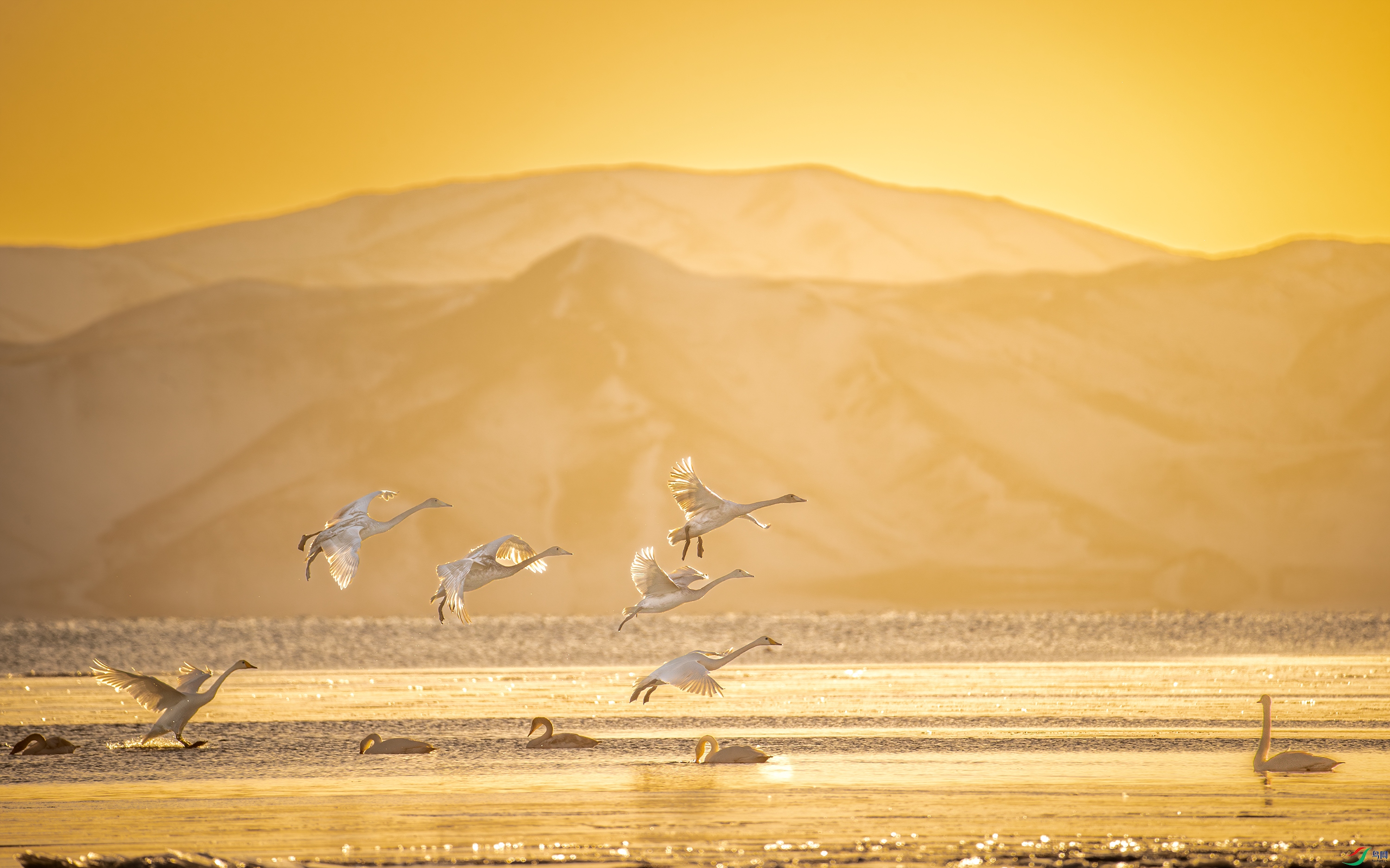 A15I0652-����ǿ-NR ����.jpg