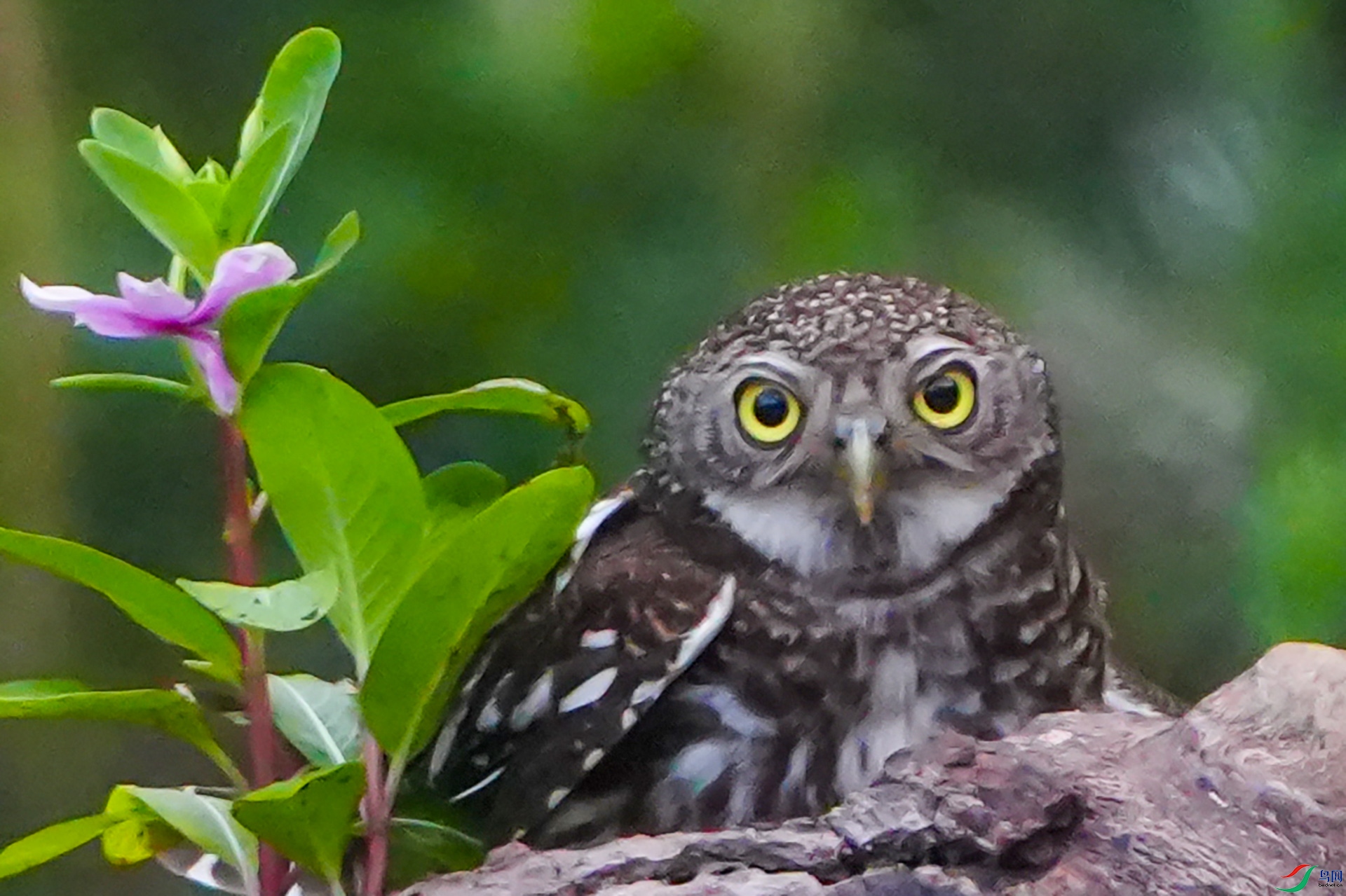 DSC00026 ����.jpg