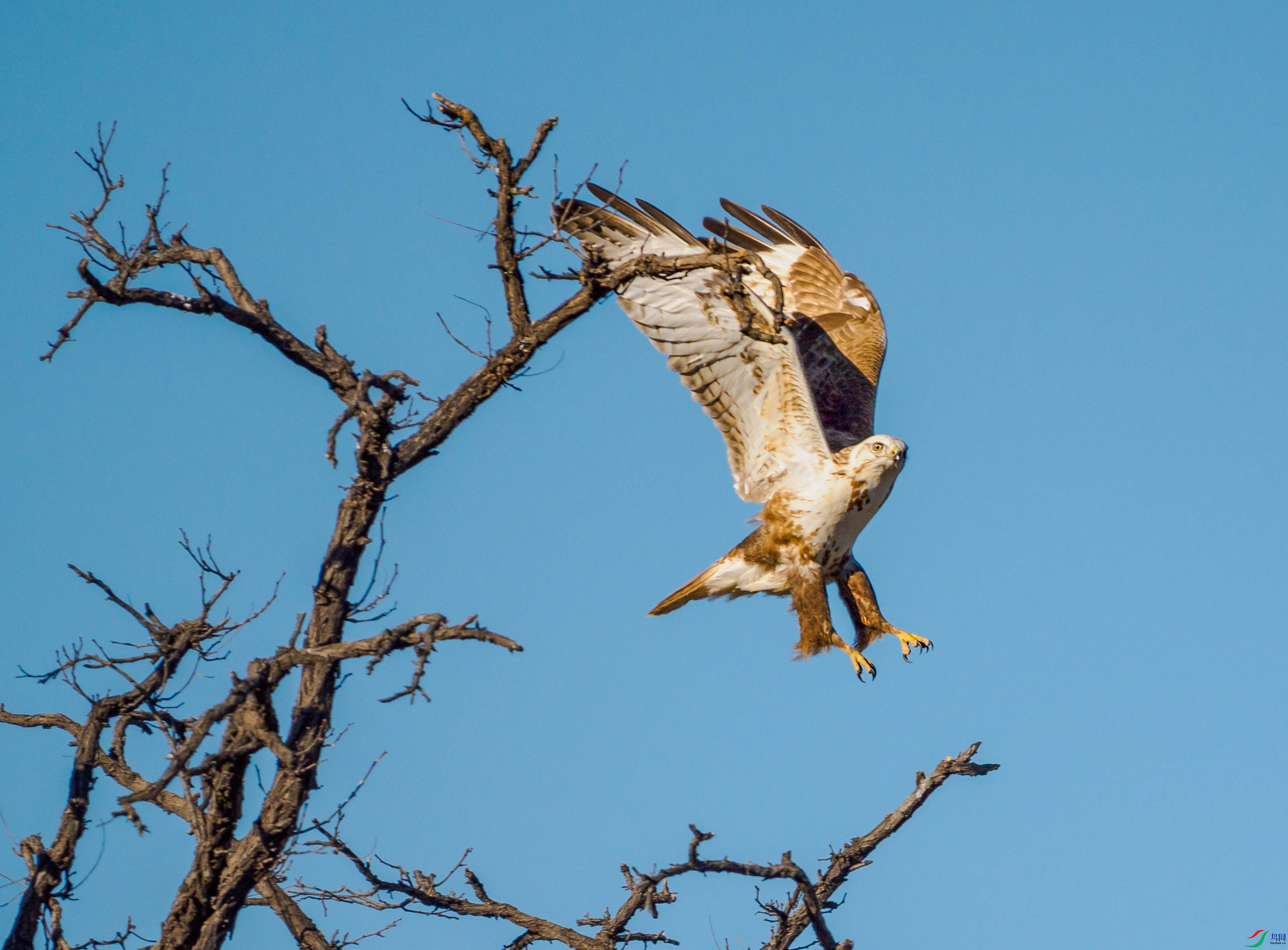 P1060664 --չ��--2.jpg