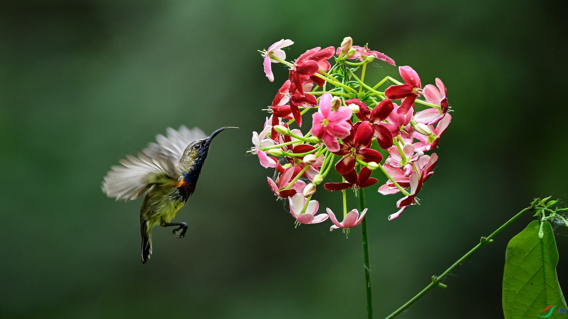 2_XXL3176 ����.jpeg