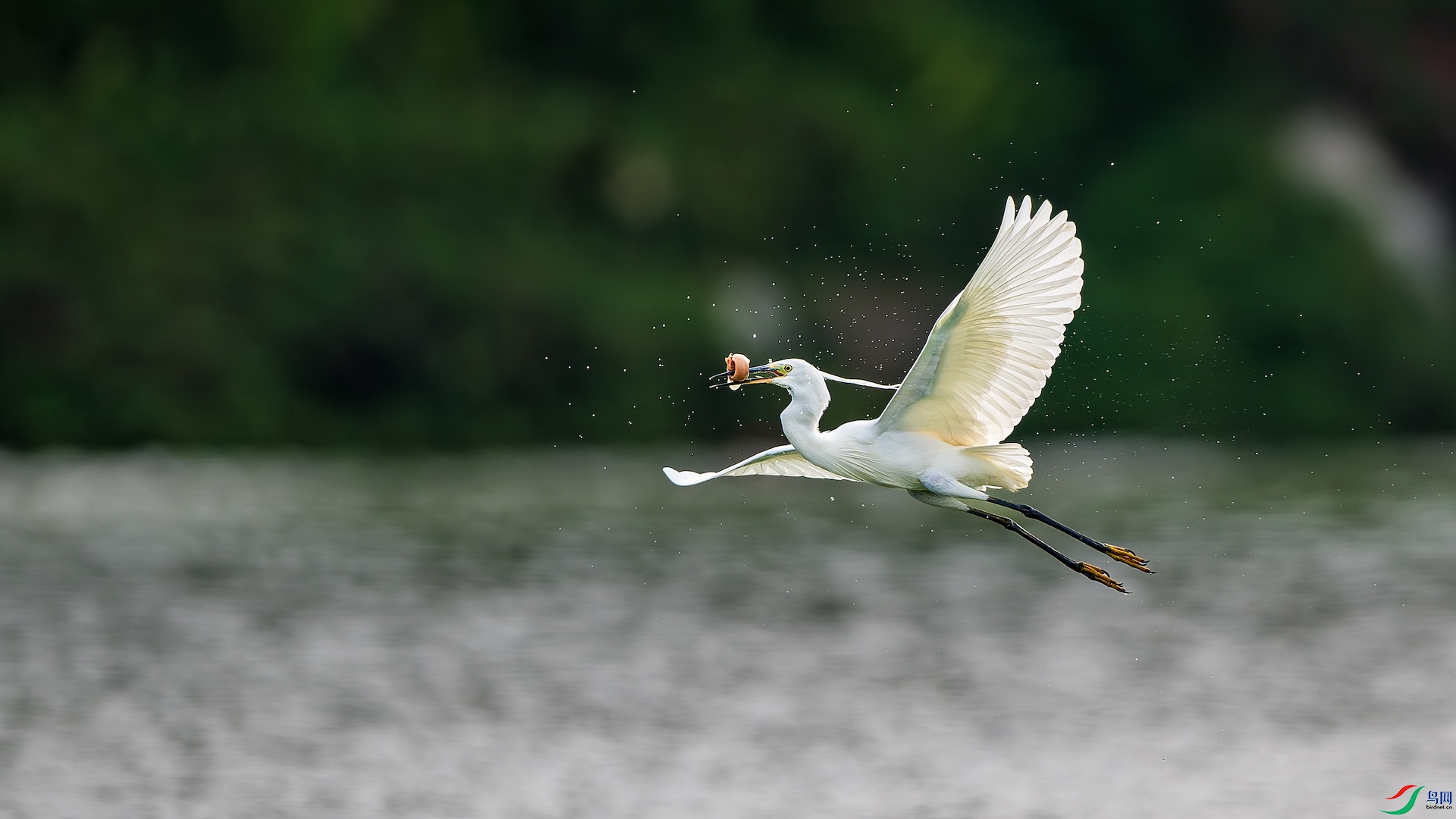 8_XXL0814-����ǿ-NR ����.jpeg