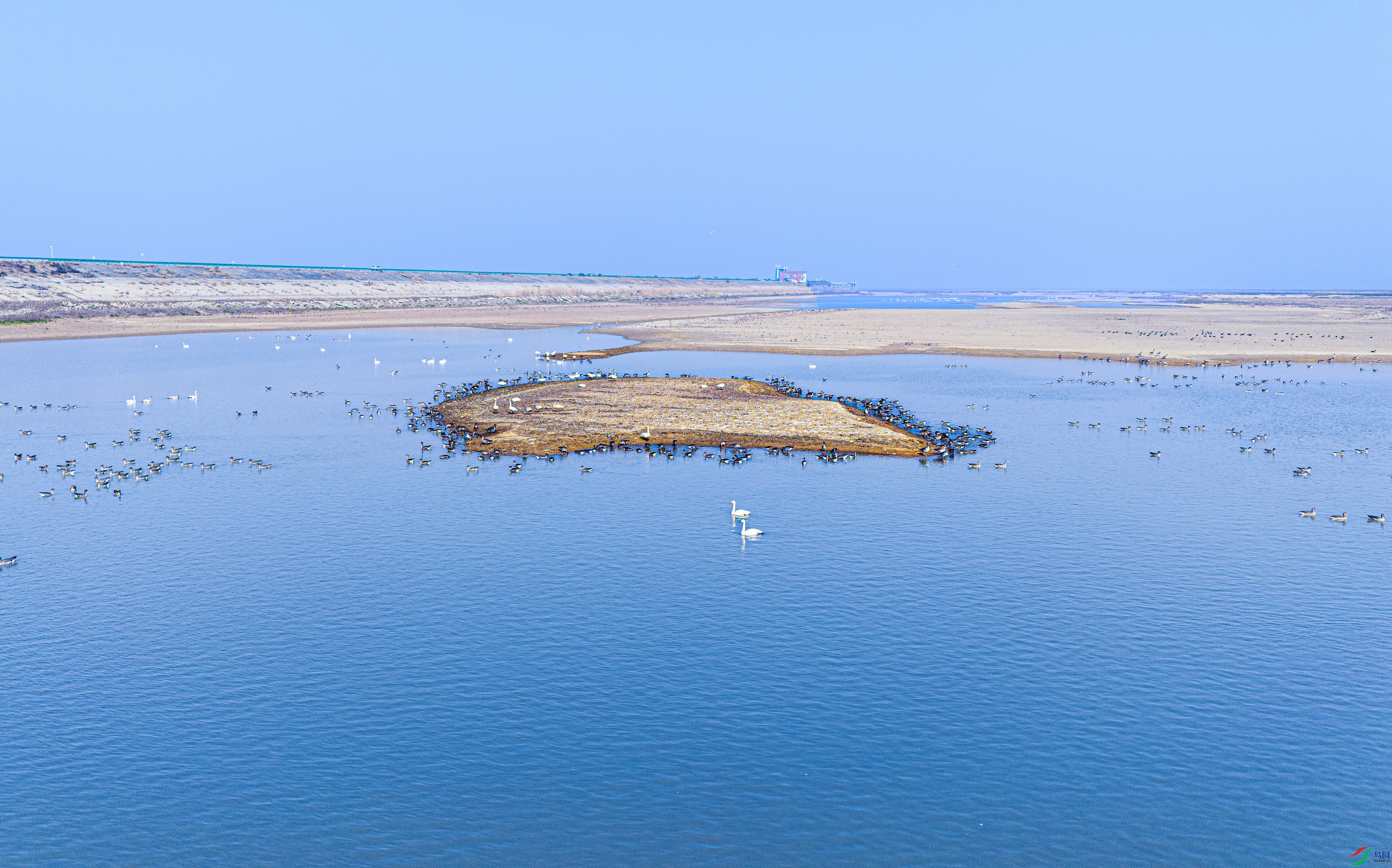 DJI_0082.jpg
